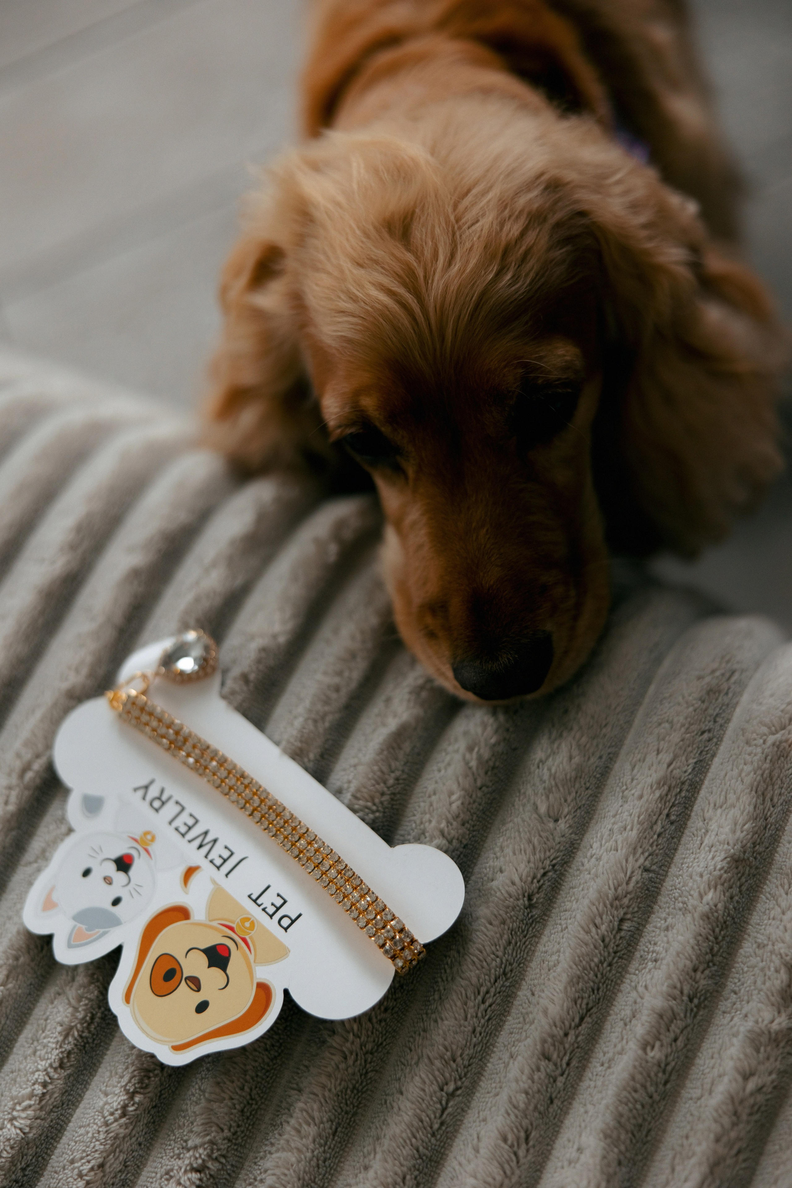 утро невесты фотосессия дома