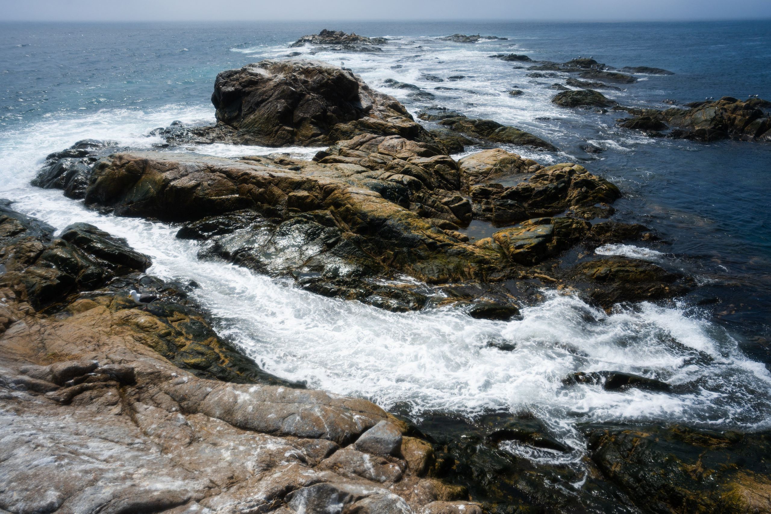 游览阿尼瓦灯塔. Ivan Zaitsev (IZIART) — 通过照片和视频创建文化代码