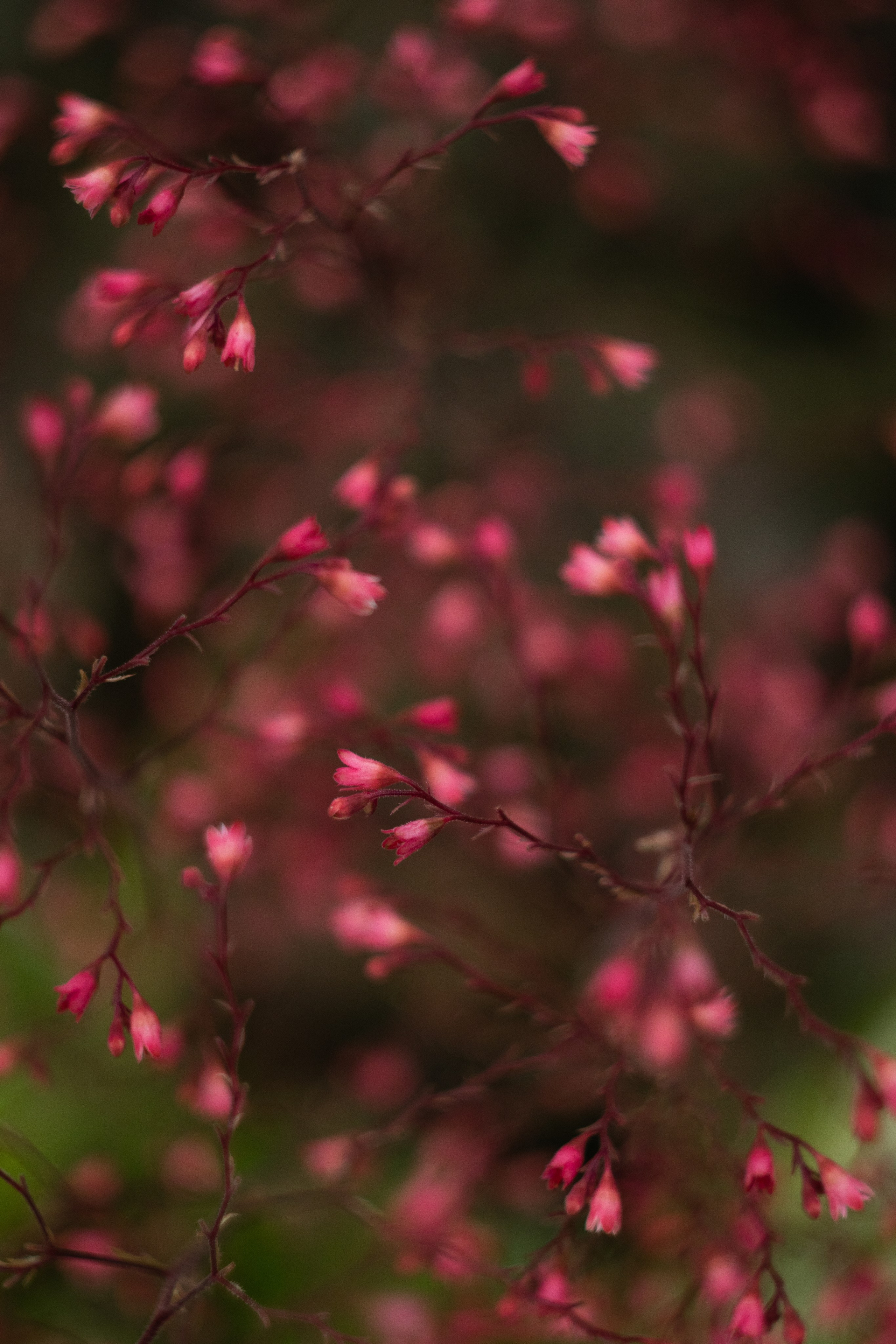 Моменты. Главная