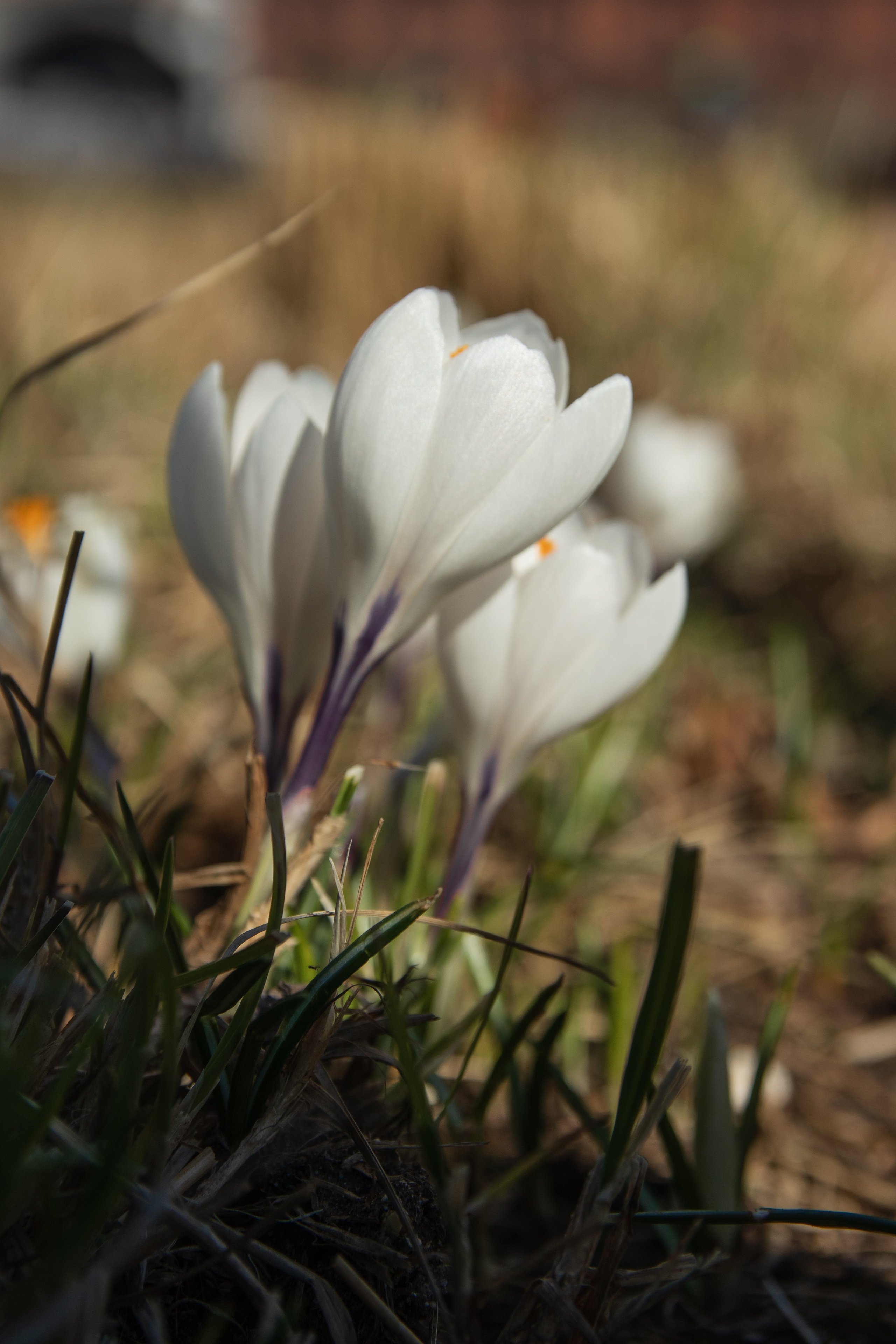 Моменты. Главная