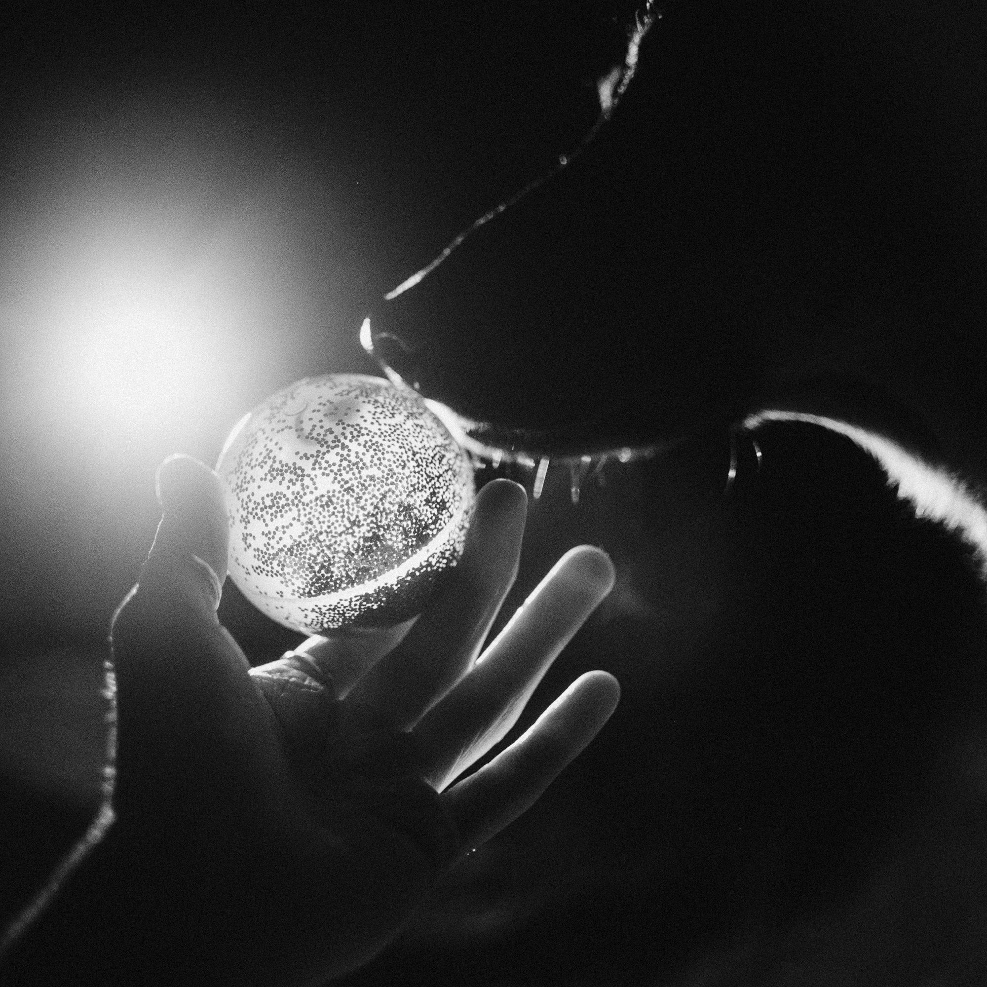 Real moments between people and their dogs