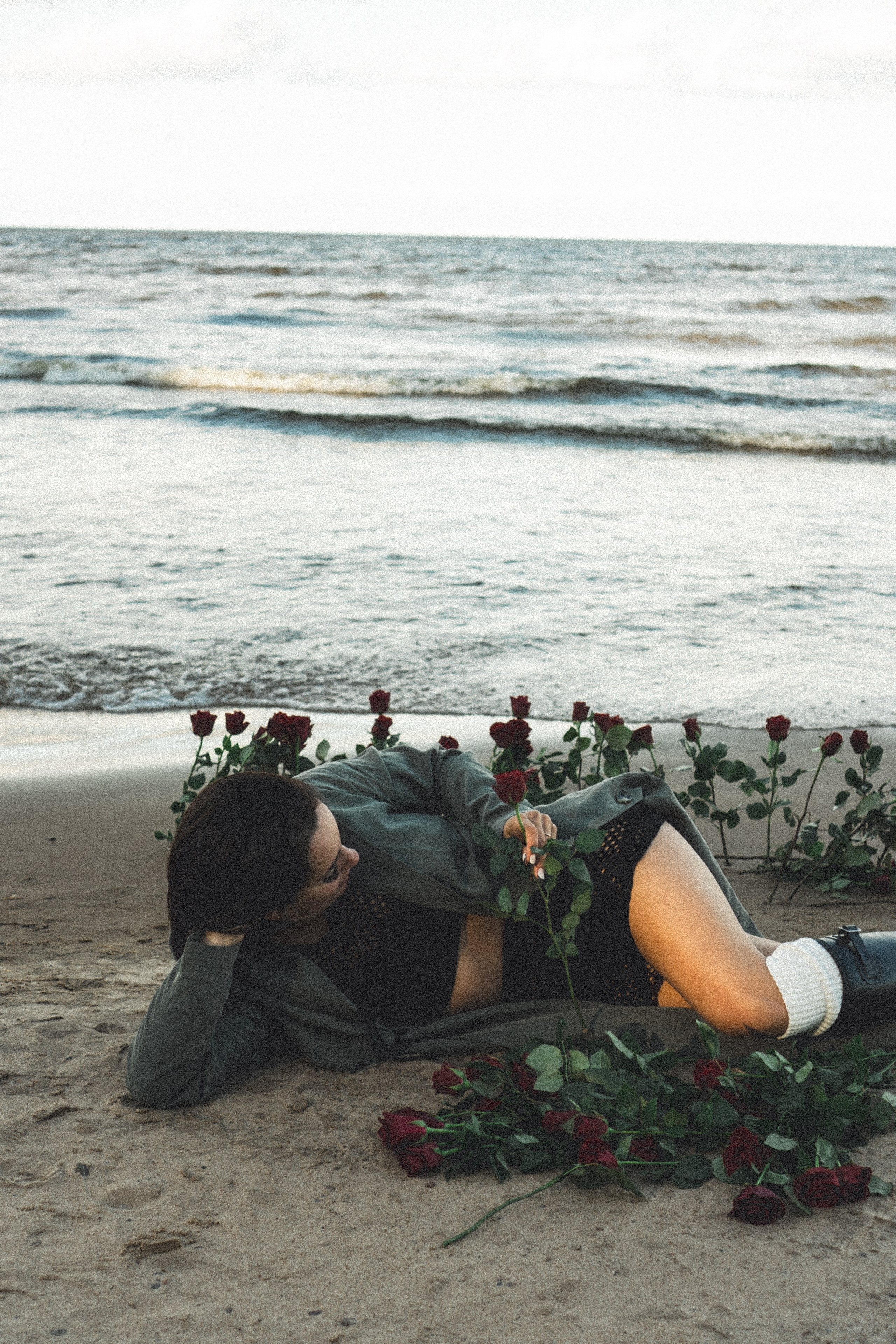 Розы. Профессиональный фотограф, Санкт-Петербург — Виктория Богомолова