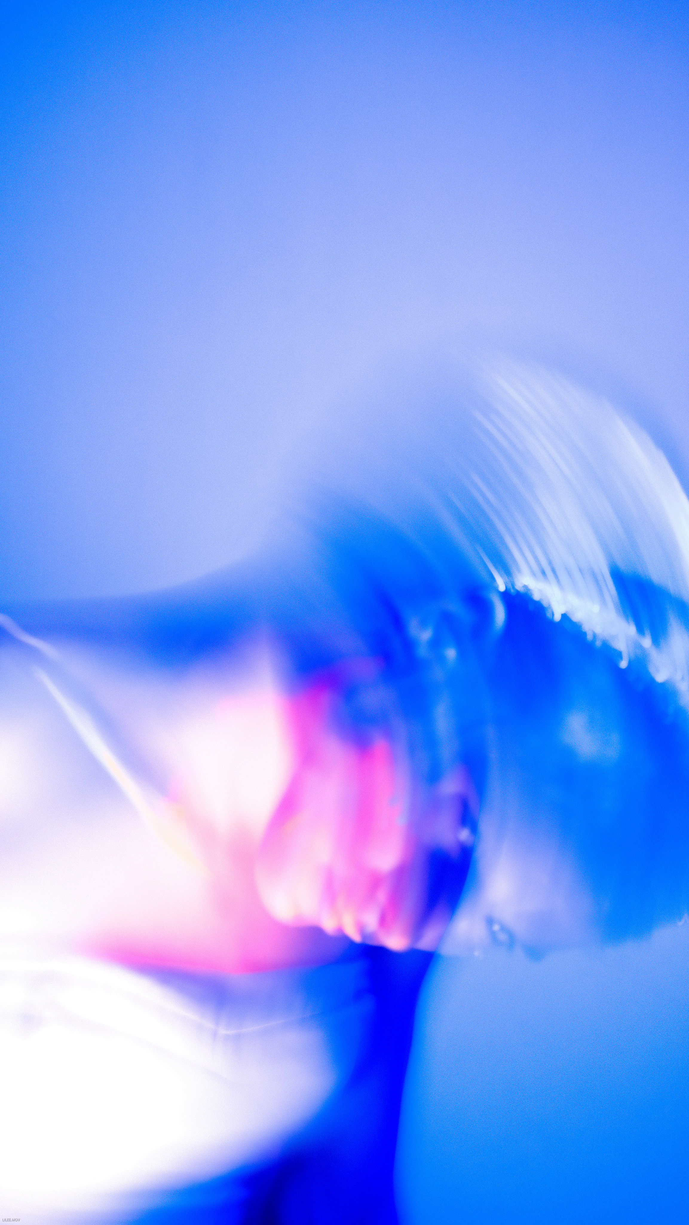 Juica Purple. LIYALEE PHOTO