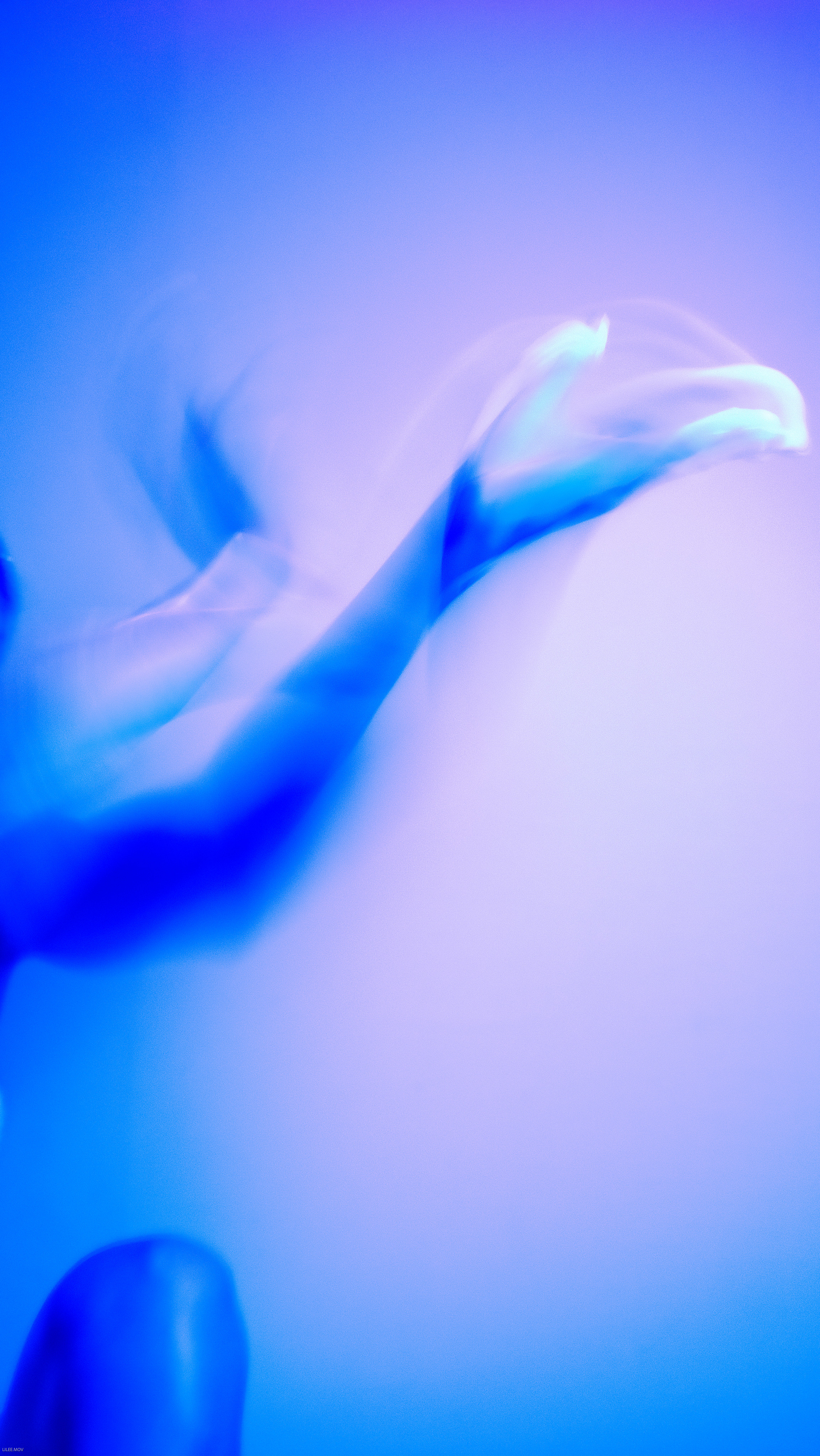 Juica Purple. LIYALEE PHOTO