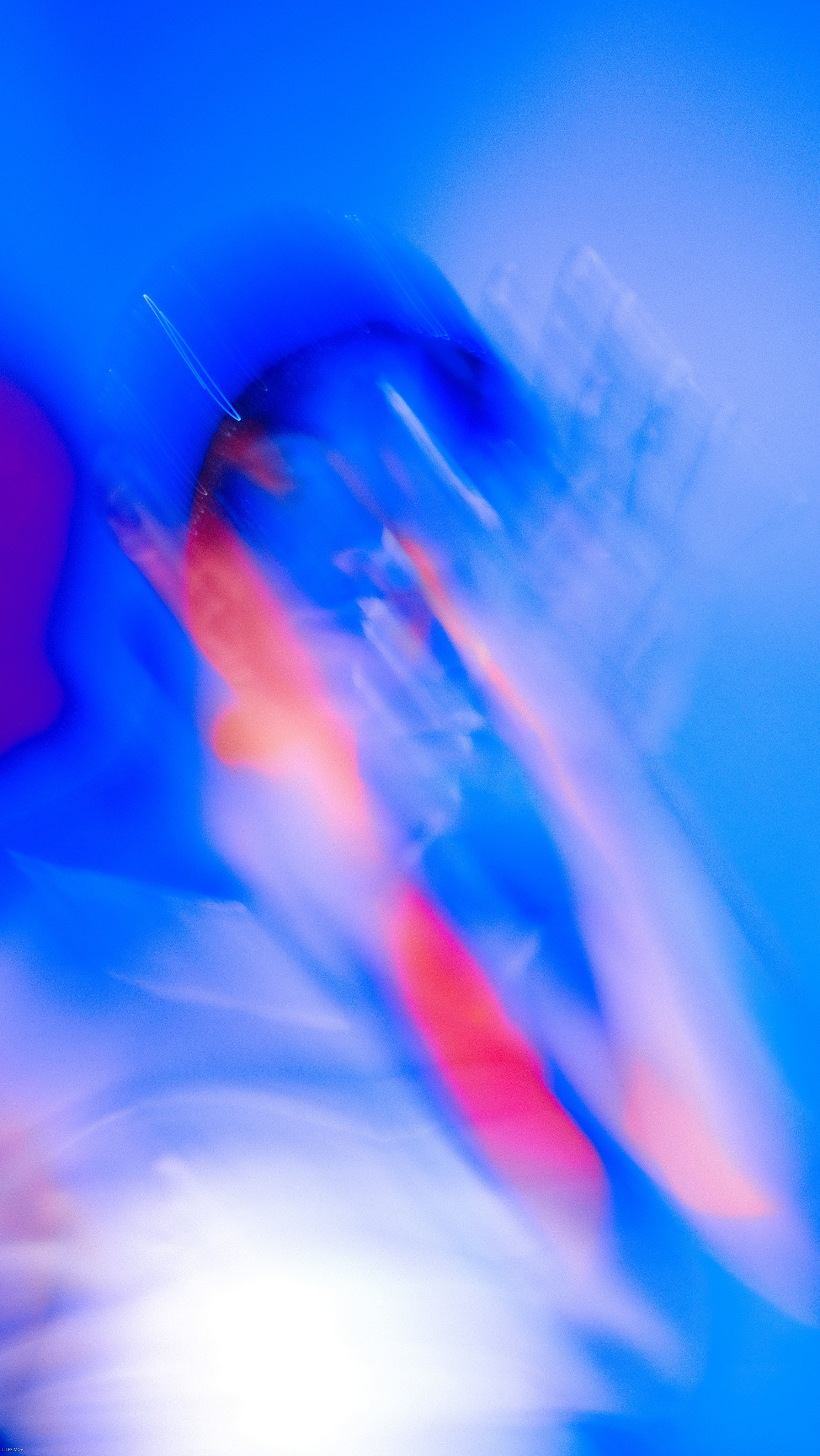 Juica Purple. LIYALEE PHOTO