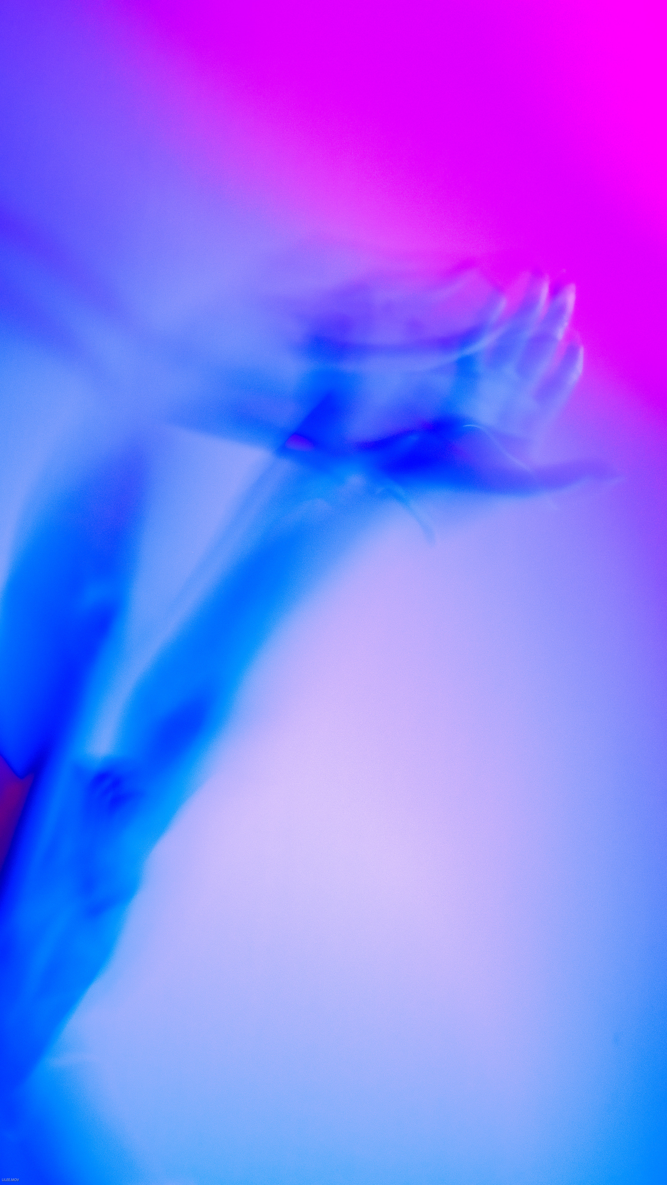 Juica Purple. LIYALEE PHOTO