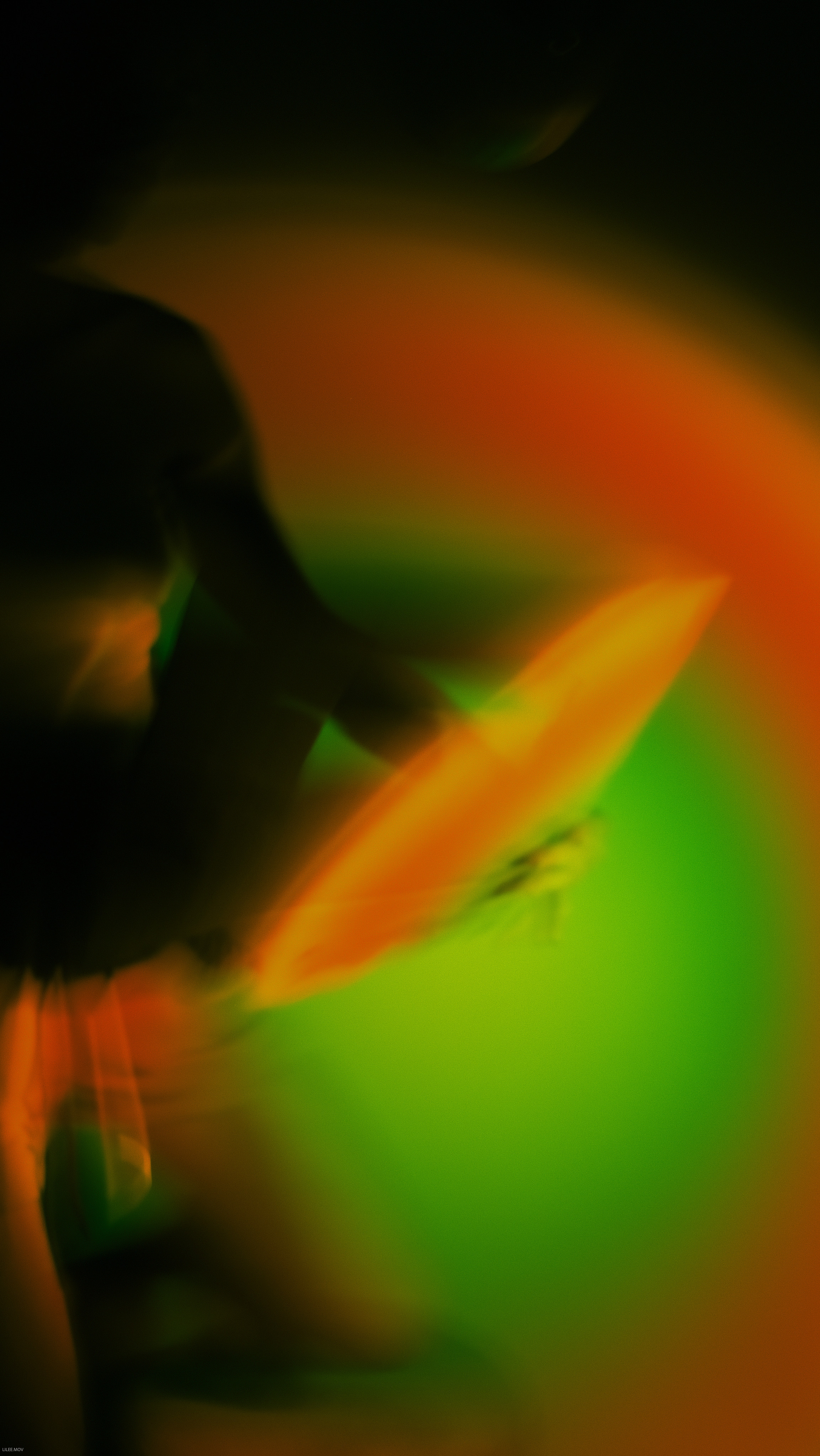 Juica Red. LIYALEE PHOTO