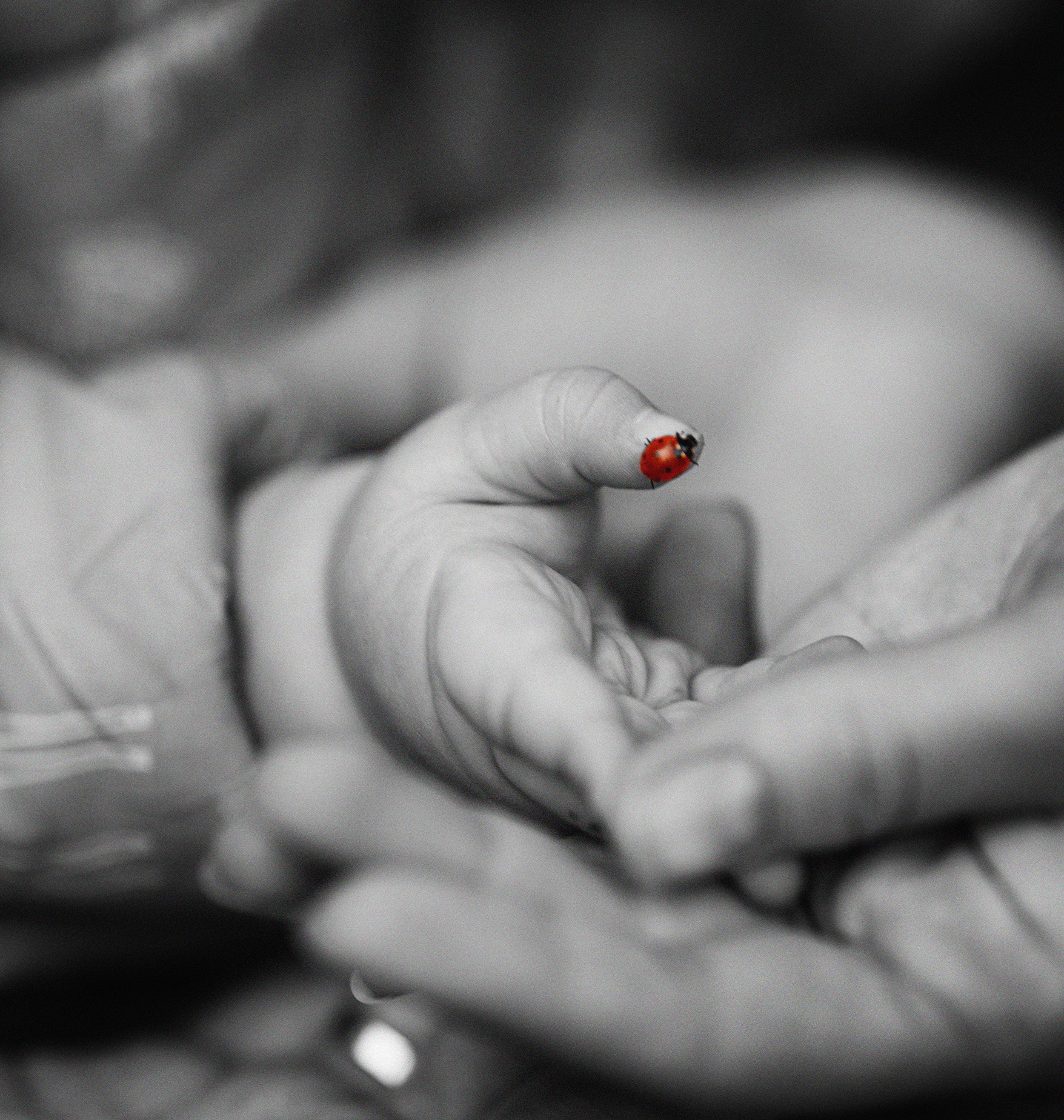 Детский и семейный фотограф Оксана Яремчук