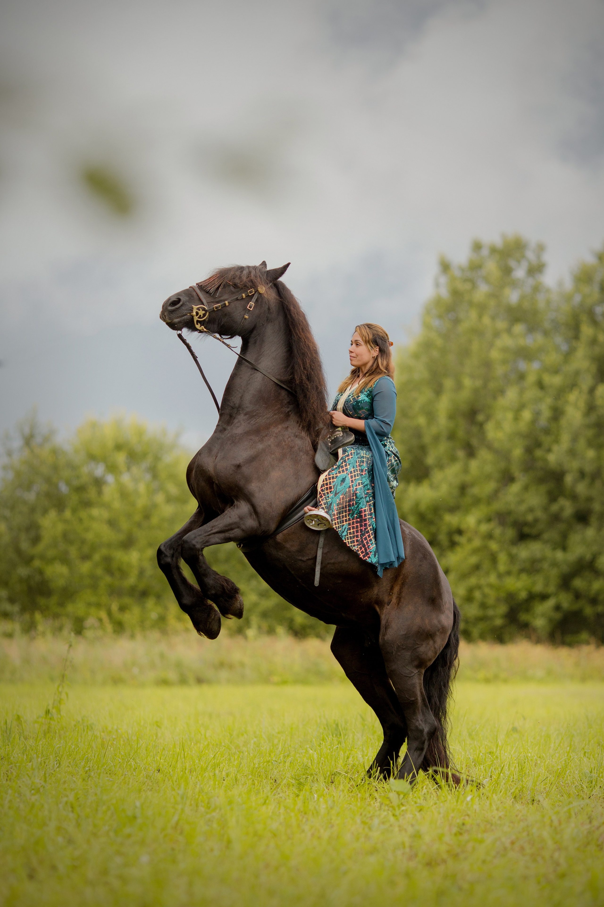 Кори и фризская кобыла Тинэке