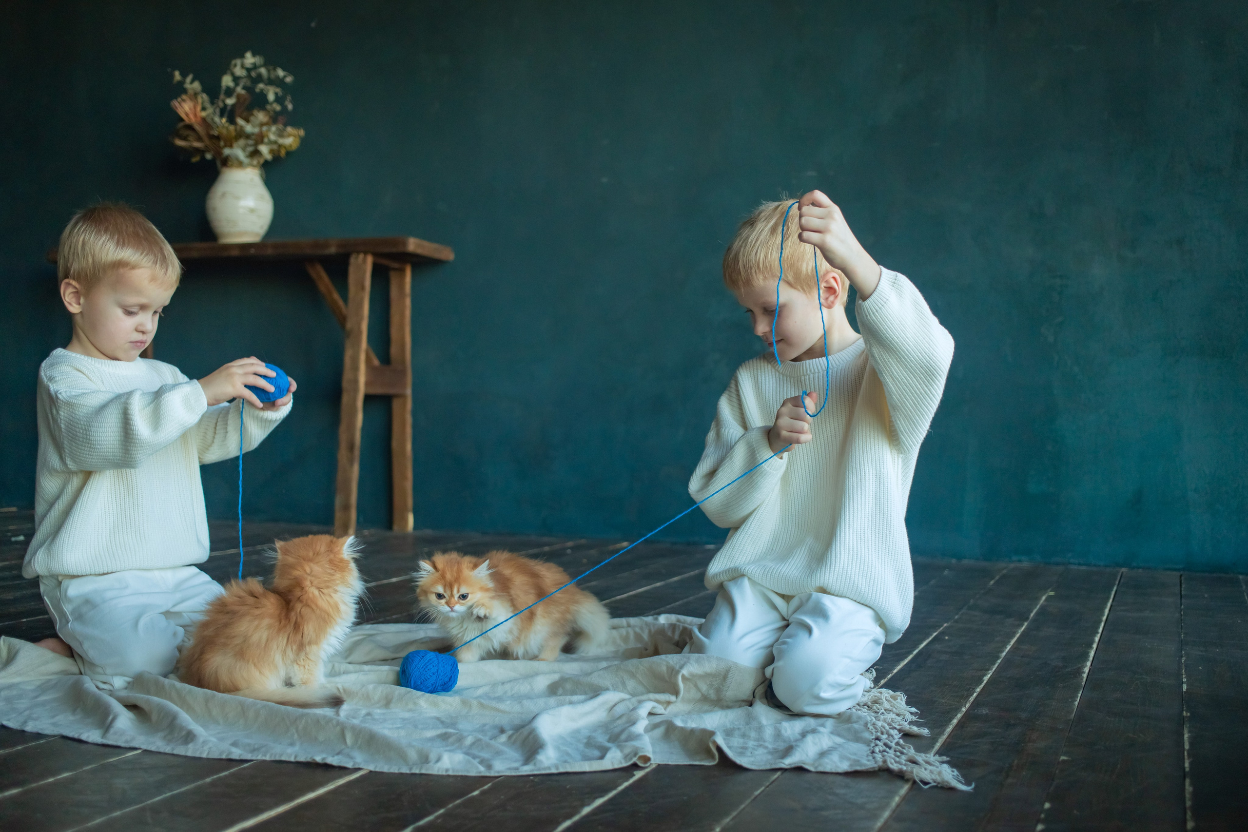 Детская фотосессия с котятками в студии в СПБ