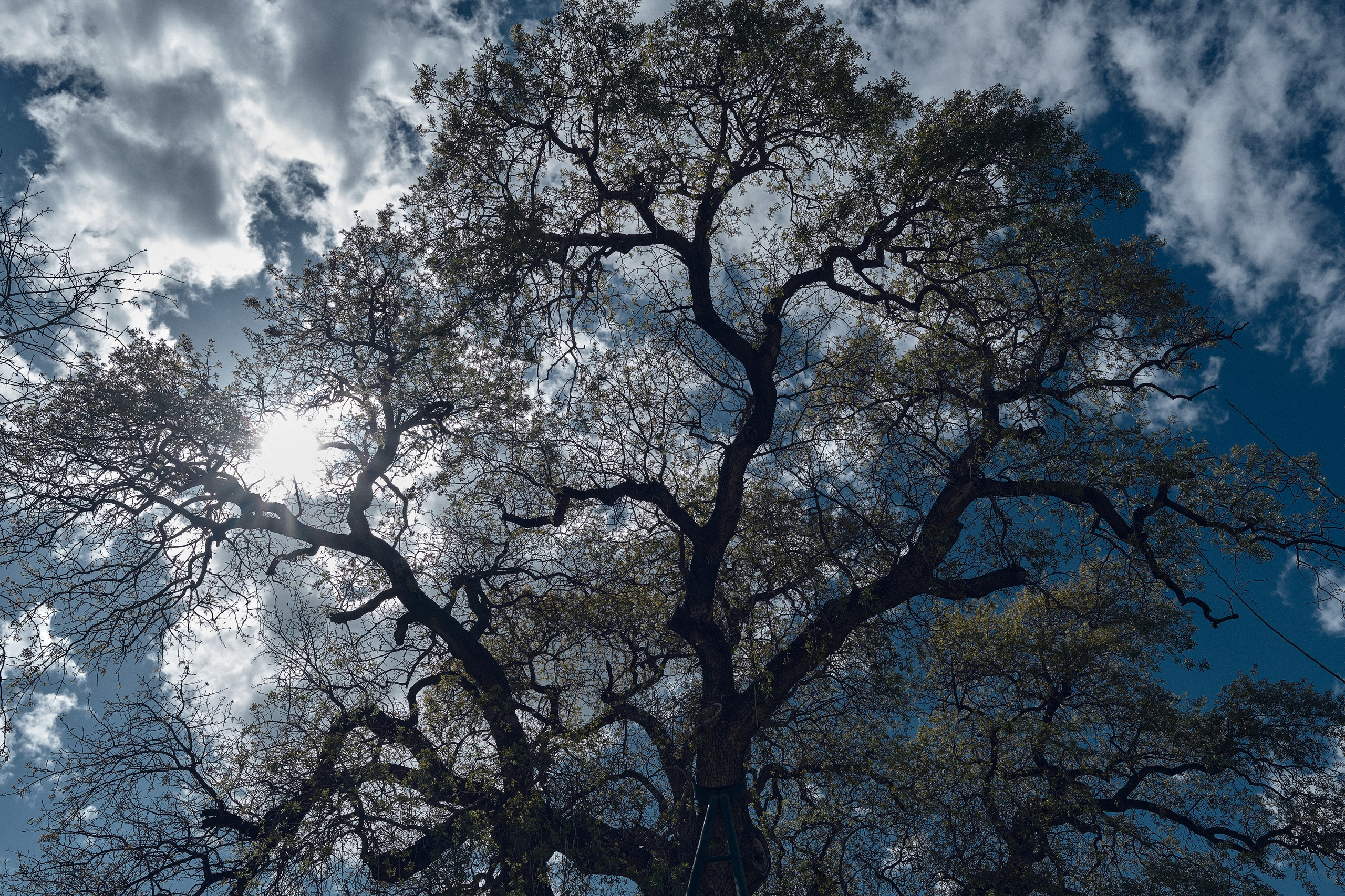 Cyprus 2024 / march. Aleksandr Kobtsev