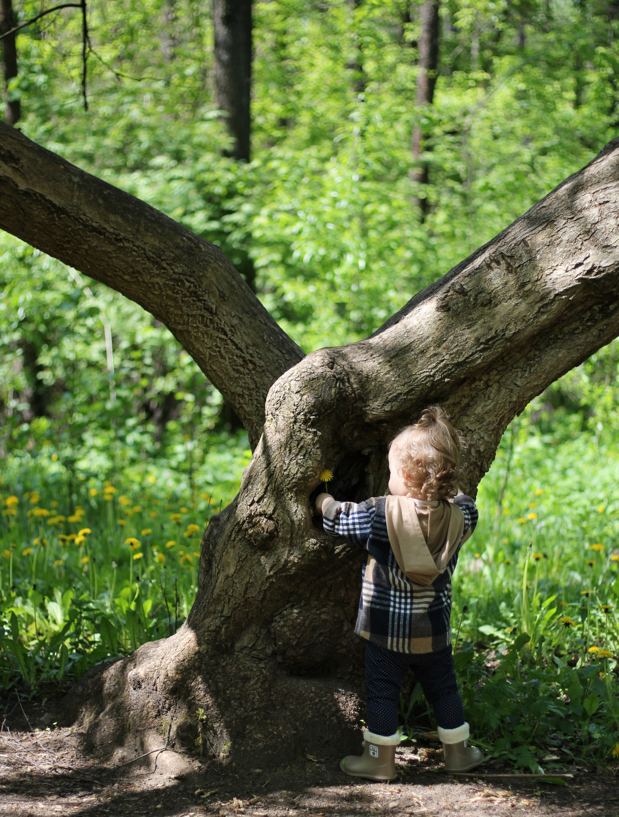Детская фотография. Семейный и детский фотограф в Москве Анастасия Крейнина