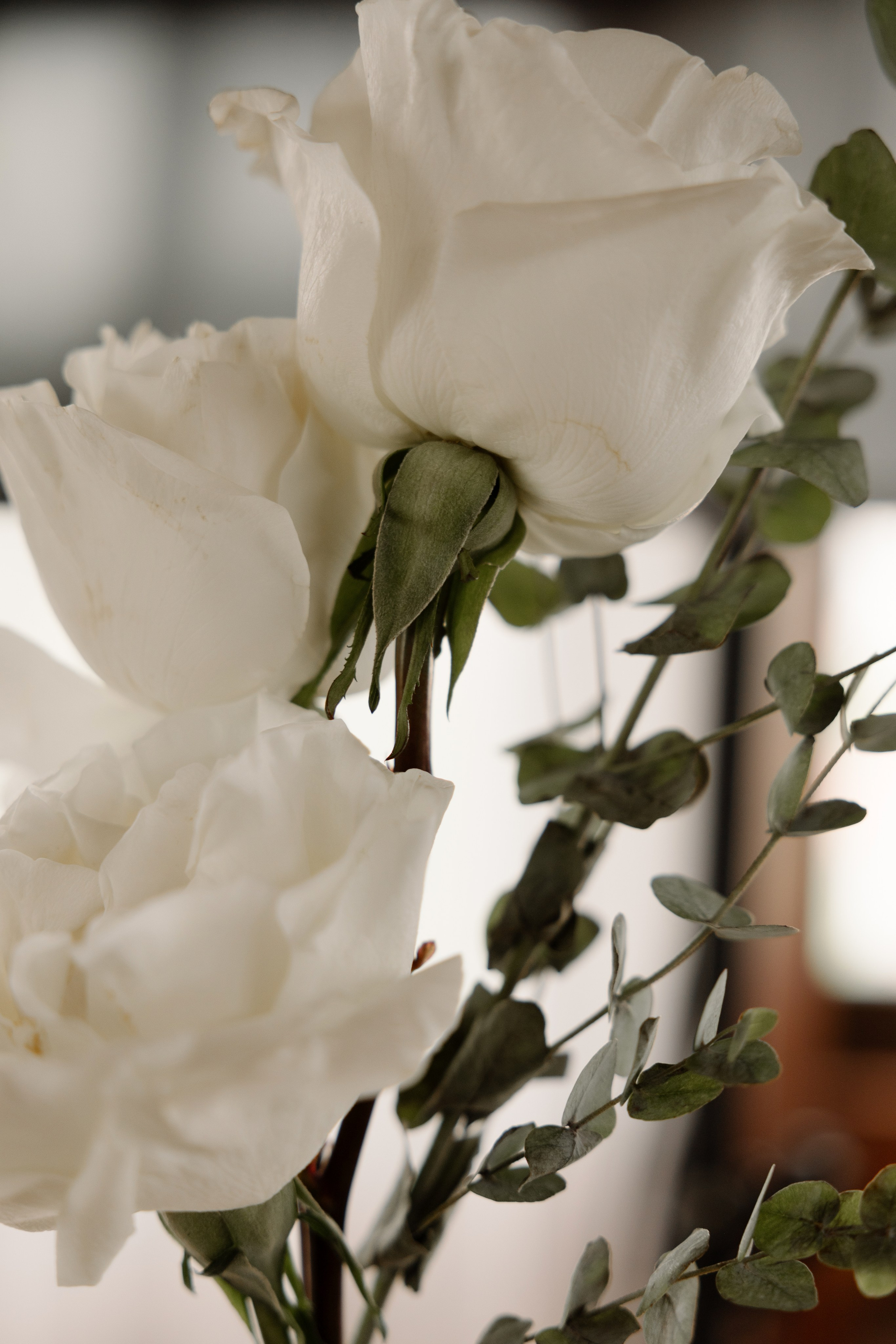 Андрей&Маргарита. Свадебный и семейный фотограф