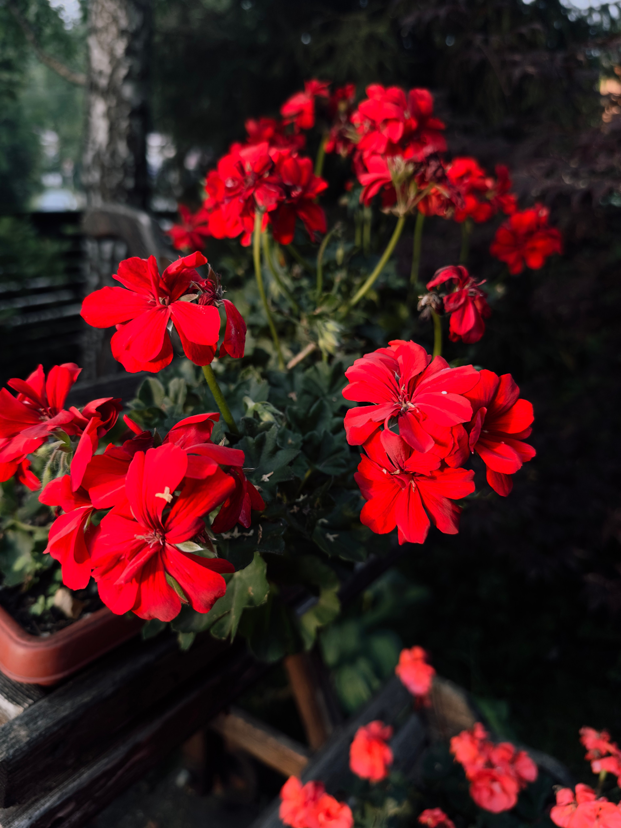 Флора и фауна. Смотри, красота!