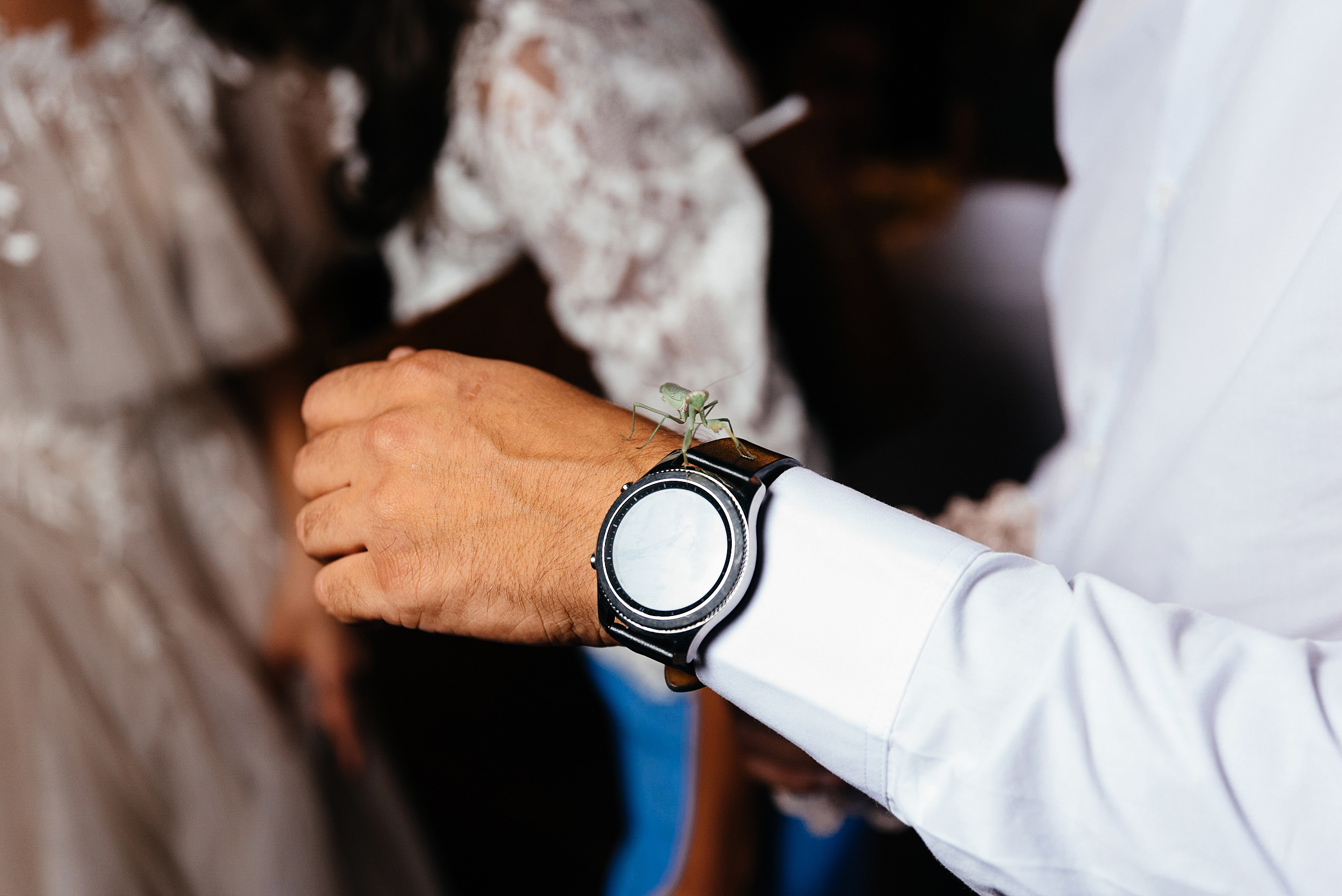 Wedding and family photographer in Dubai Vasilii Albul