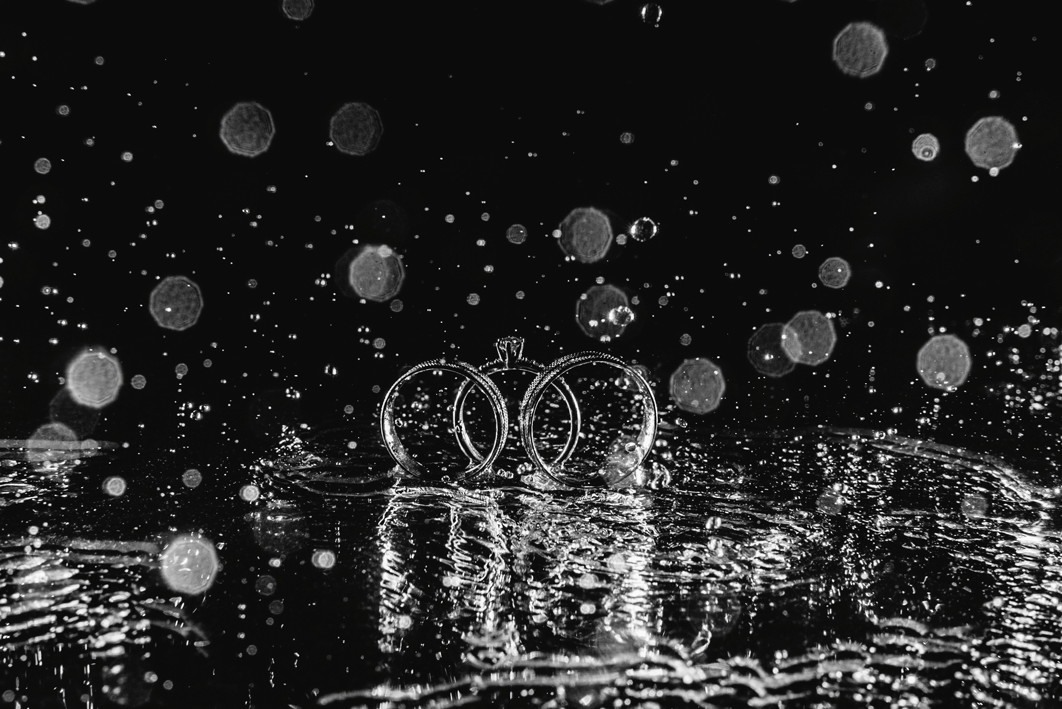 Wedding and family photographer in Dubai Vasilii Albul