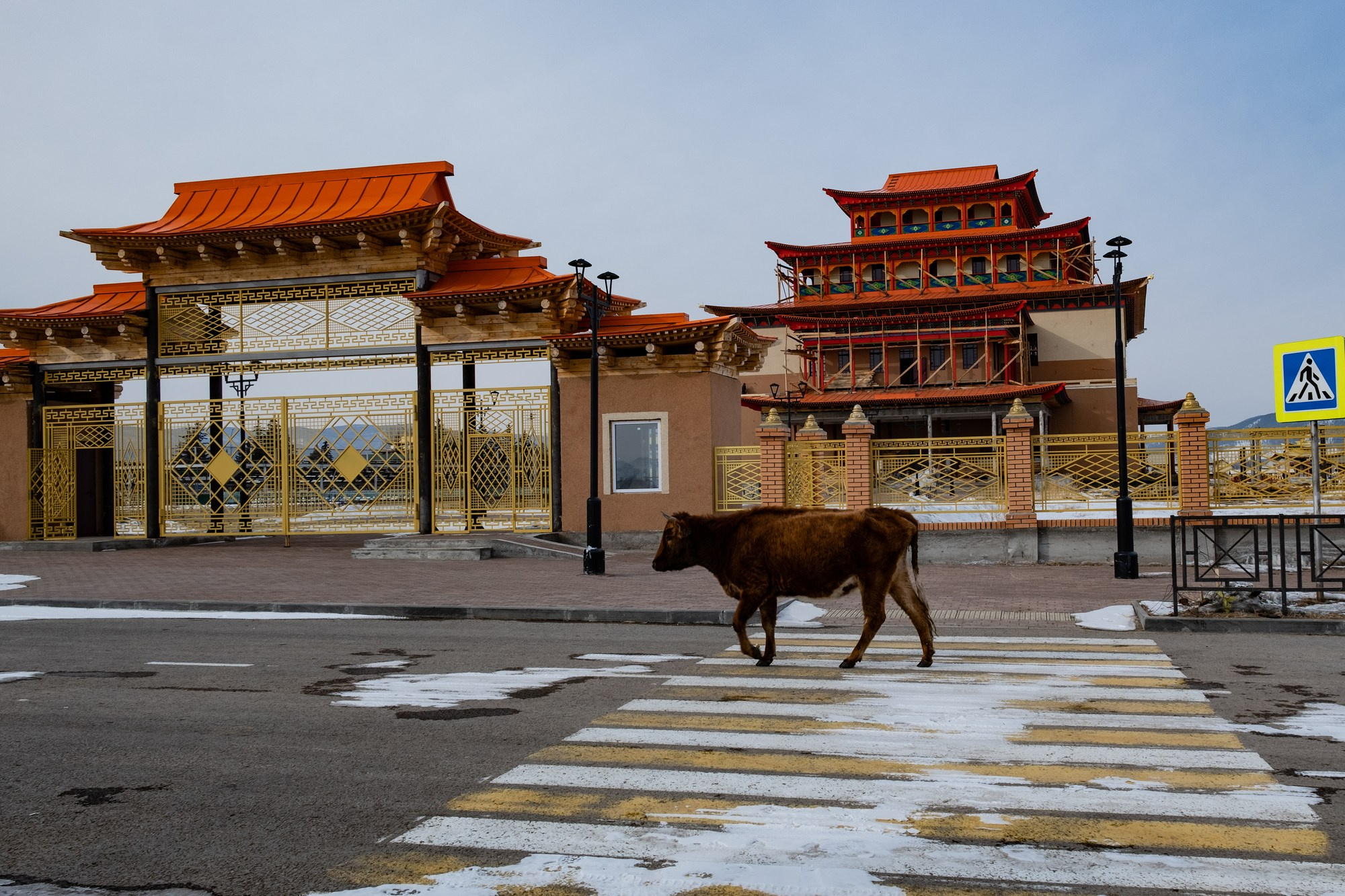 Байкальская Миля. Автоспортивный бренд фотограф в Москве — Виктория Логинова