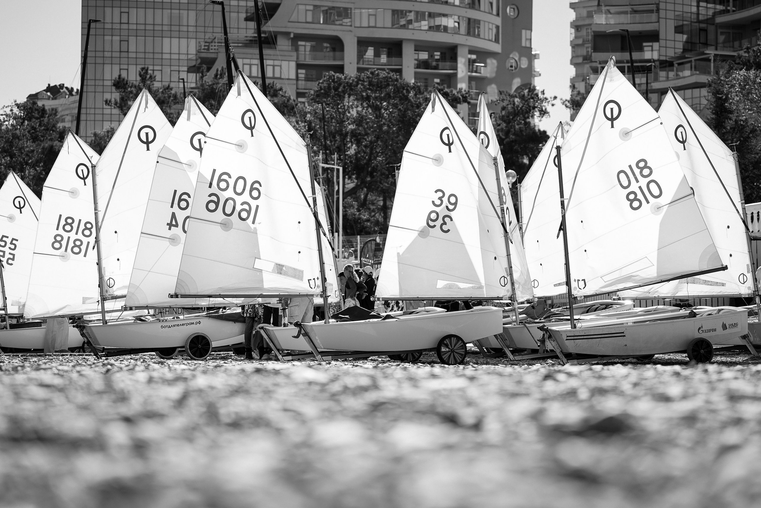 Регата. Выпускные альбомы Натальи Бутко: Новороссийск, Анапа, Геленджик