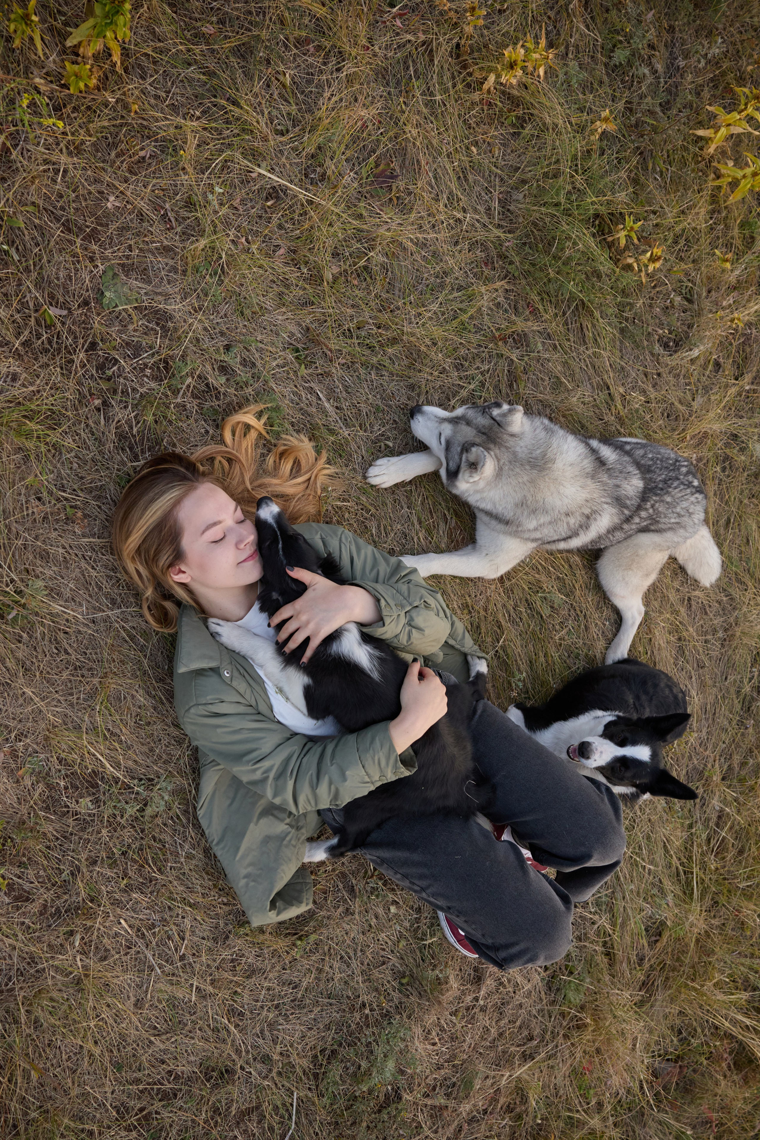 Аделя и ее хвостики. Фотограф анималист в Казани Алина Сулейманова. Фотограф животных