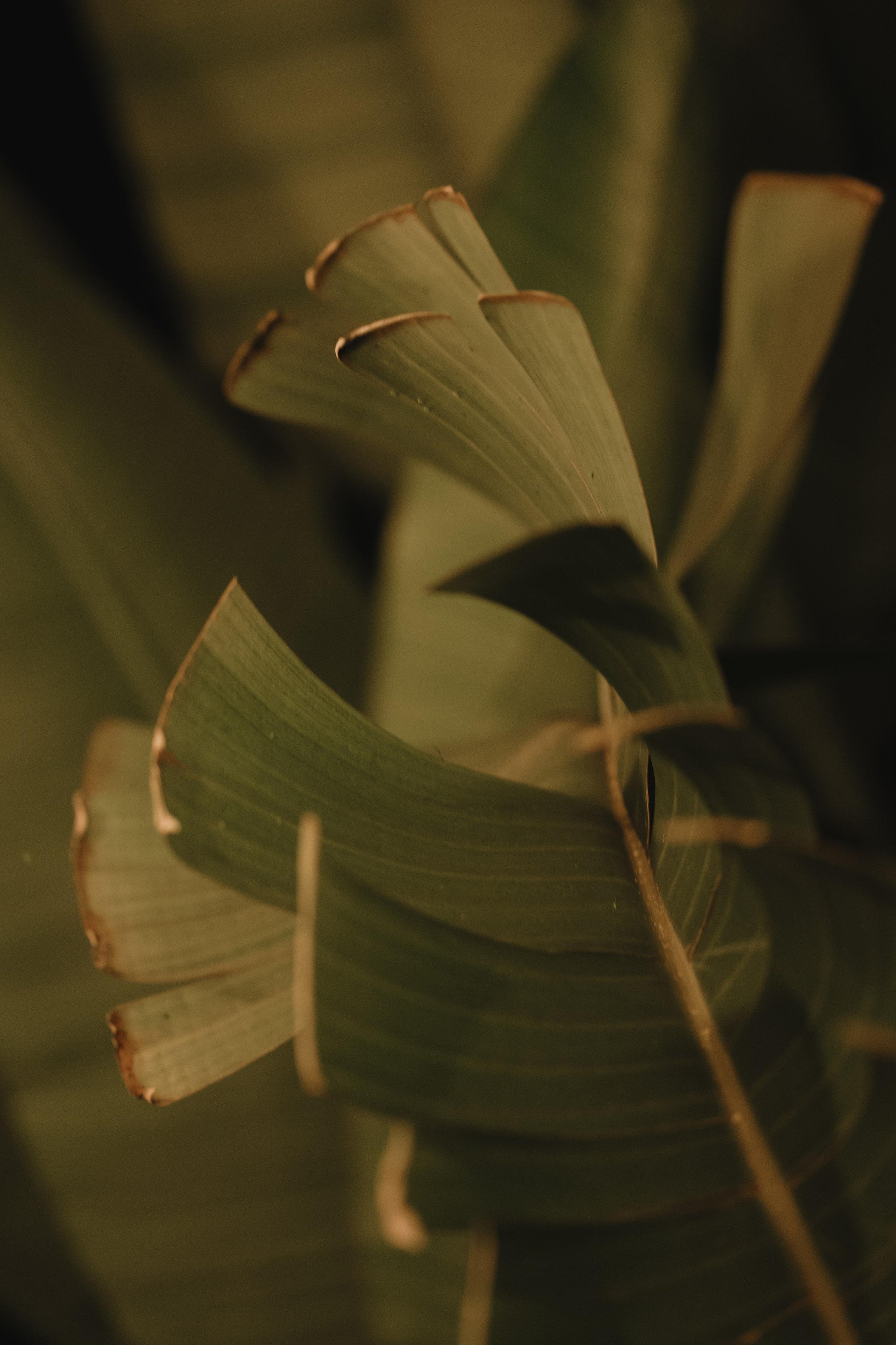 Casa Sur. Wedding & Documentary Photographer based in Nuremberg — available across Europe & Turkey | Vitalii Nasonov