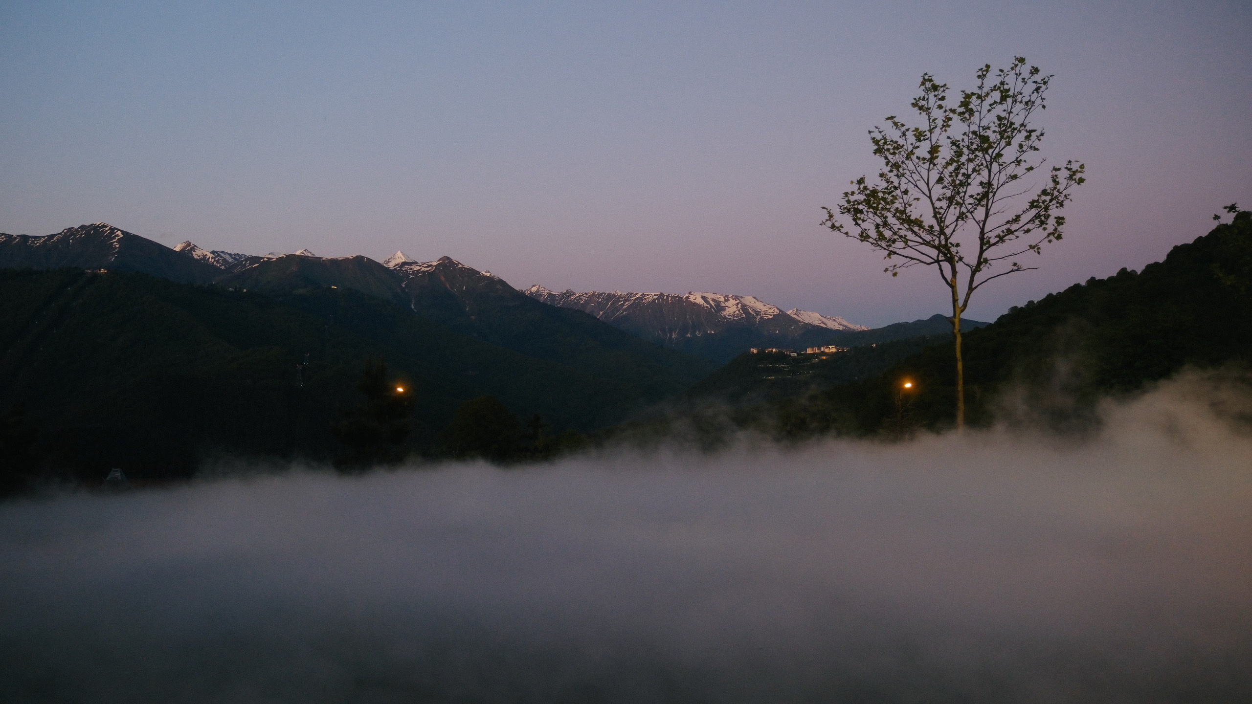 Аркея. Свадебный Видеограф Фотограф в Сочи