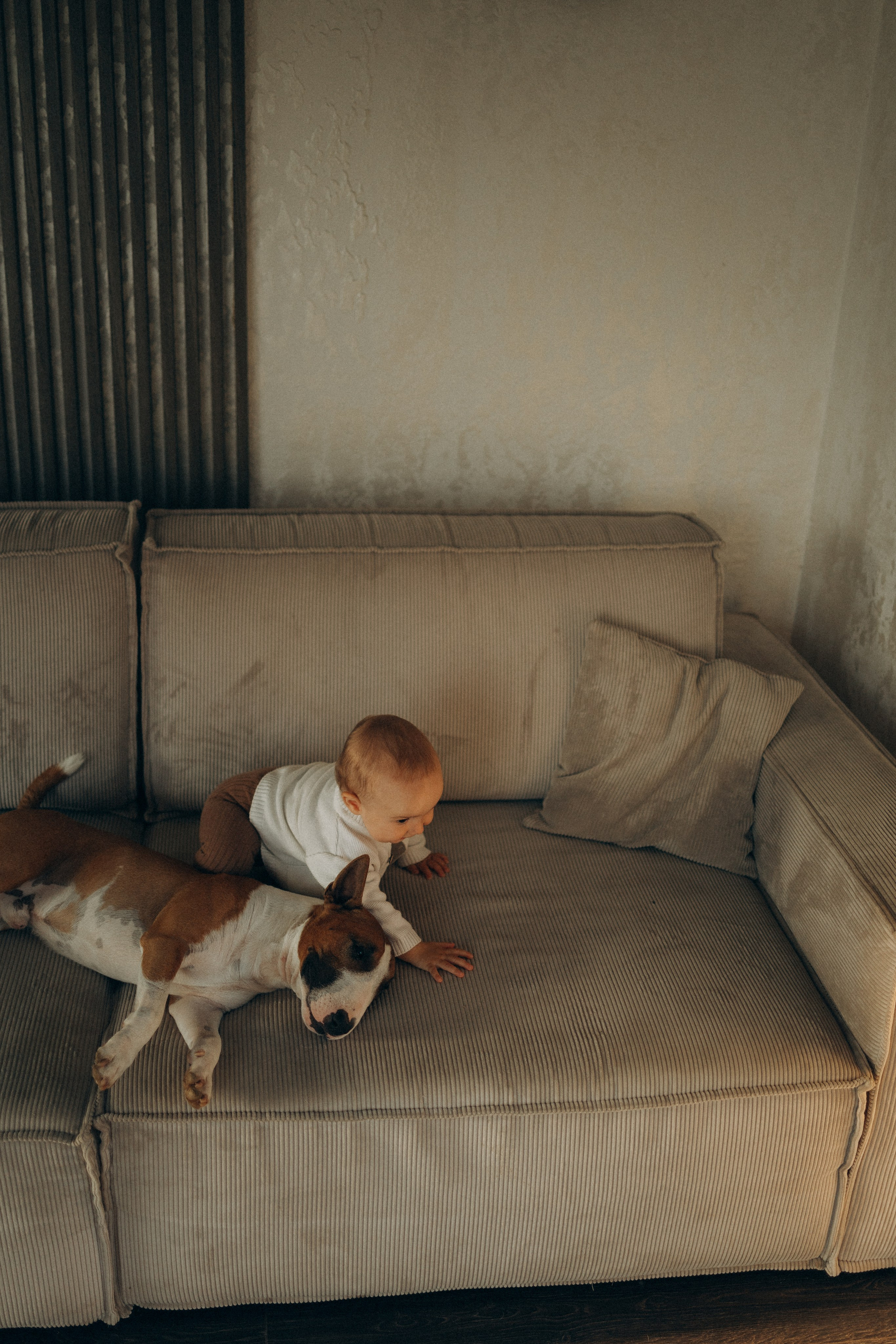 Семейная. Фотораф — анималист Мария Шистка
