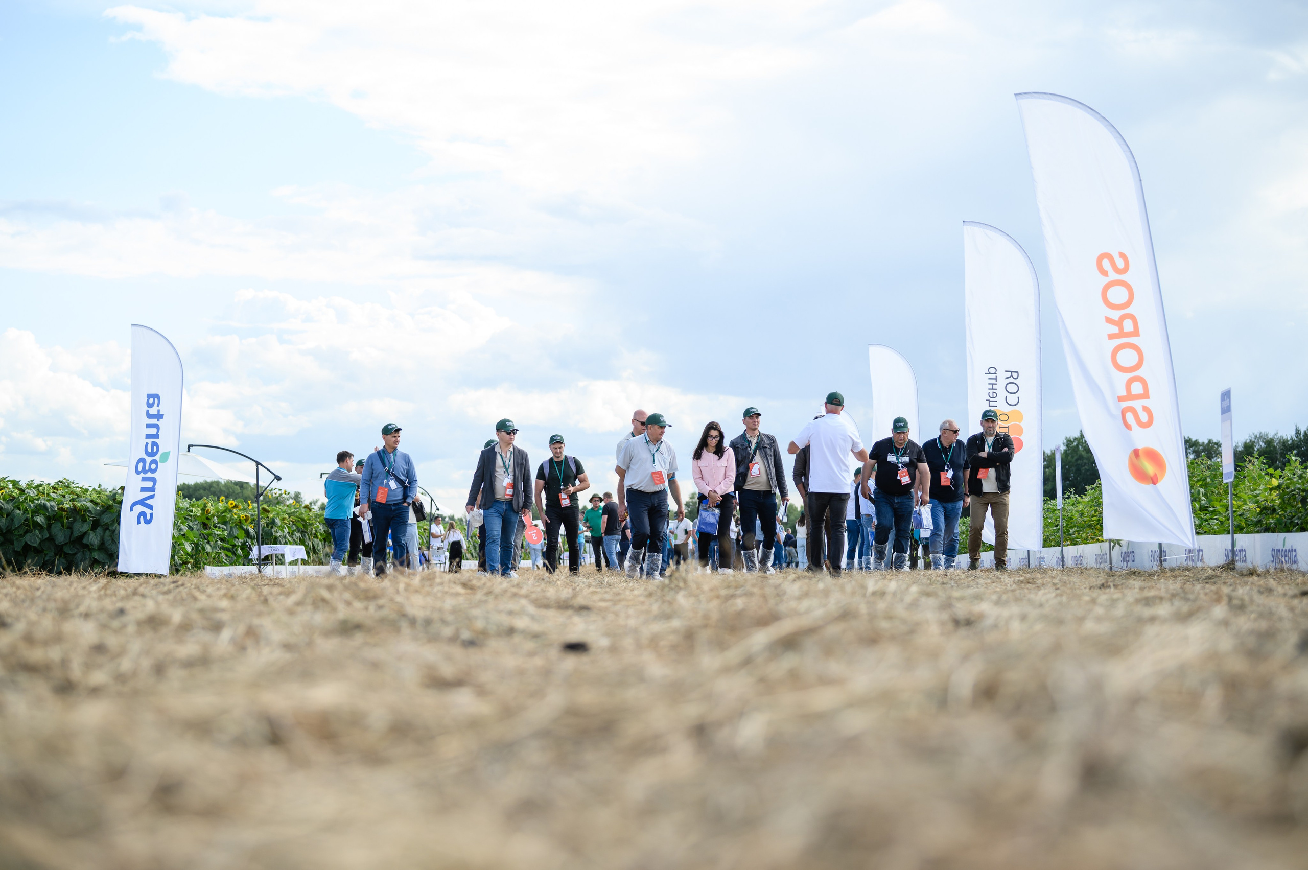 Проекты. Профессиональный фотограф Вячеслав Плацында | Липецк |