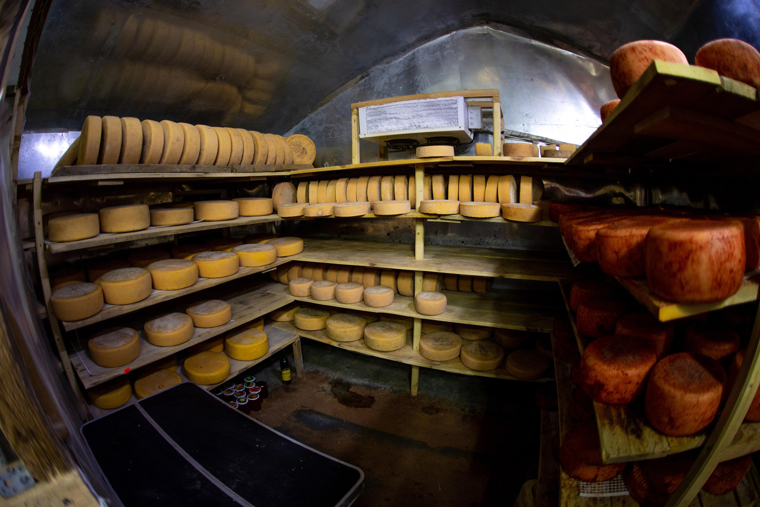 ЦВЕТНЫЕ ФОТОГРАФИИ. Никита Аничкин фото и видео оператор из России