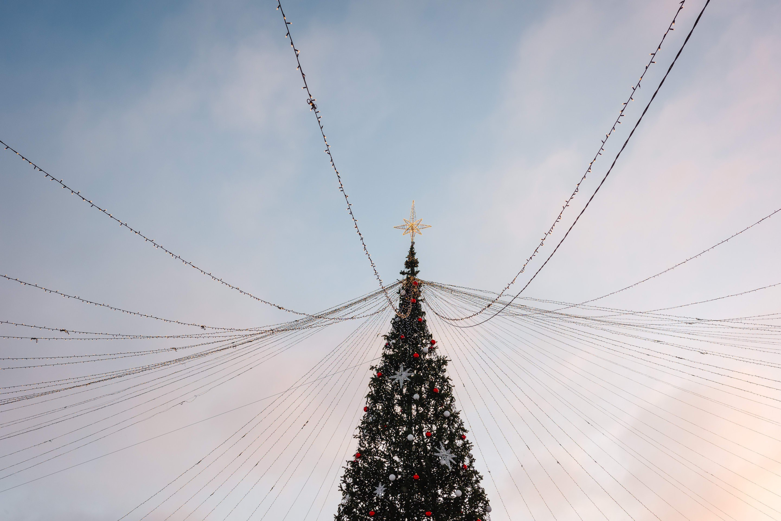 2024.01. Фотограф Алексей Алексеев