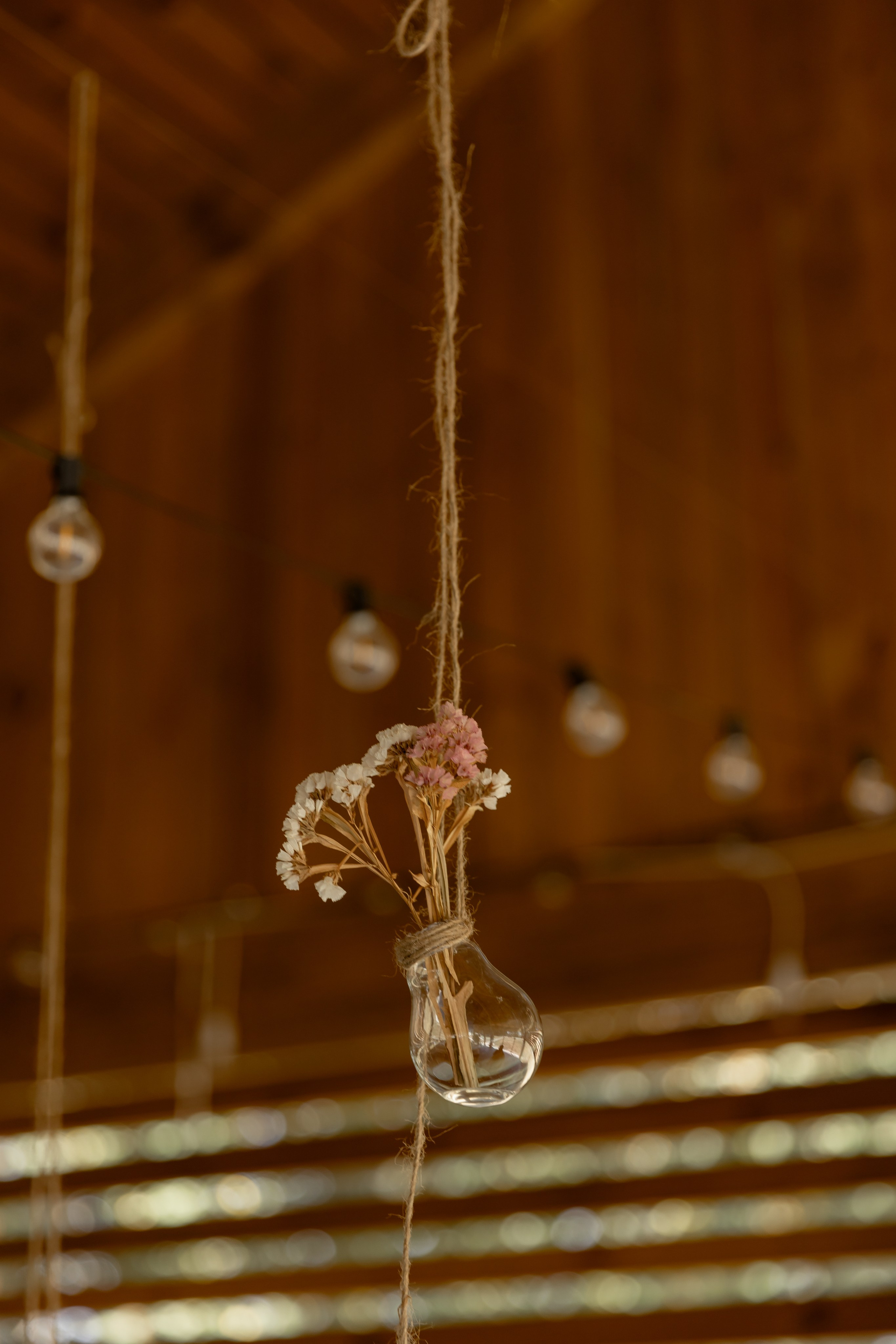 Виноградники. Dima Lemeshevsky