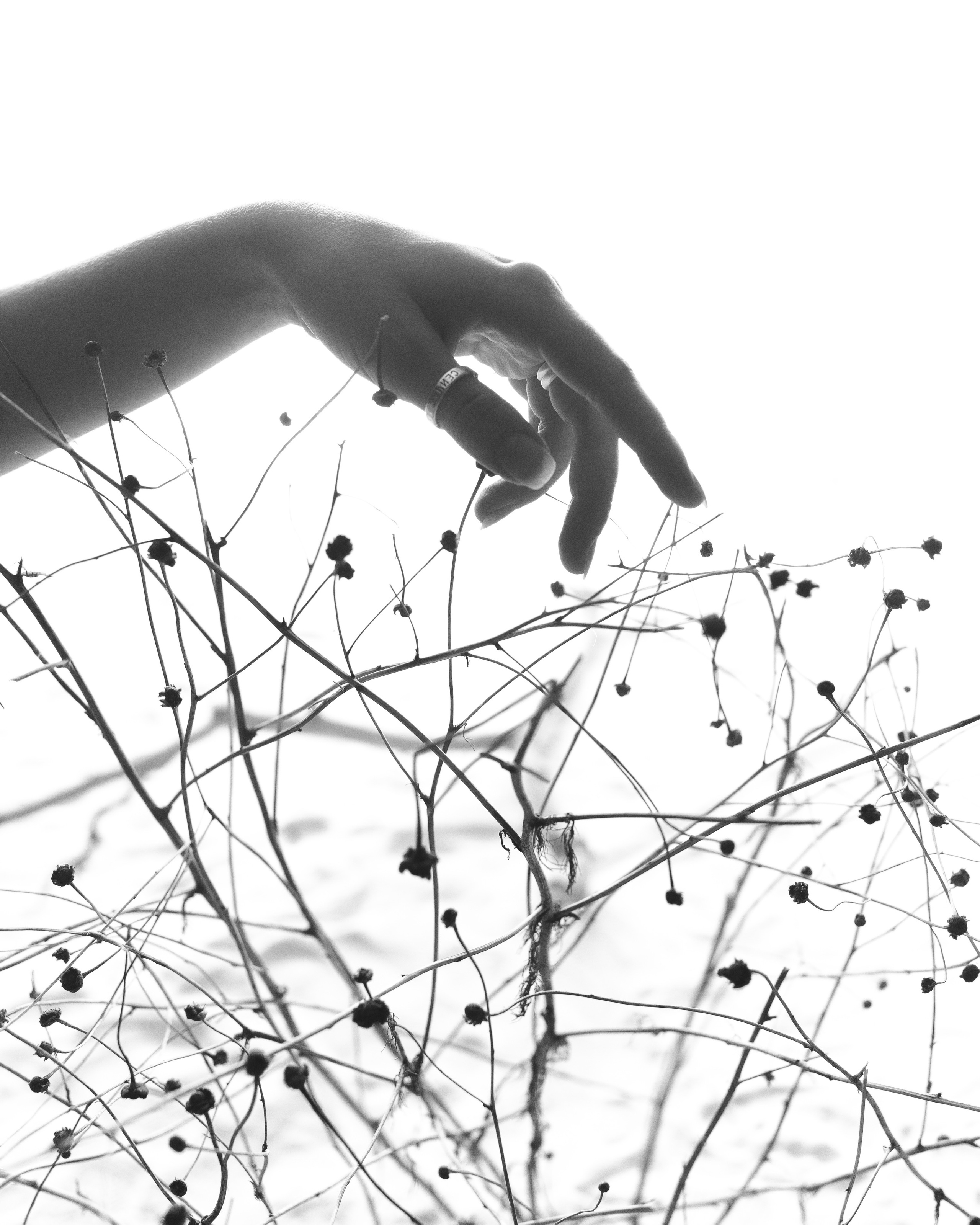 Рита. Катерина Аникеева | Фотограф | Екатеринбург