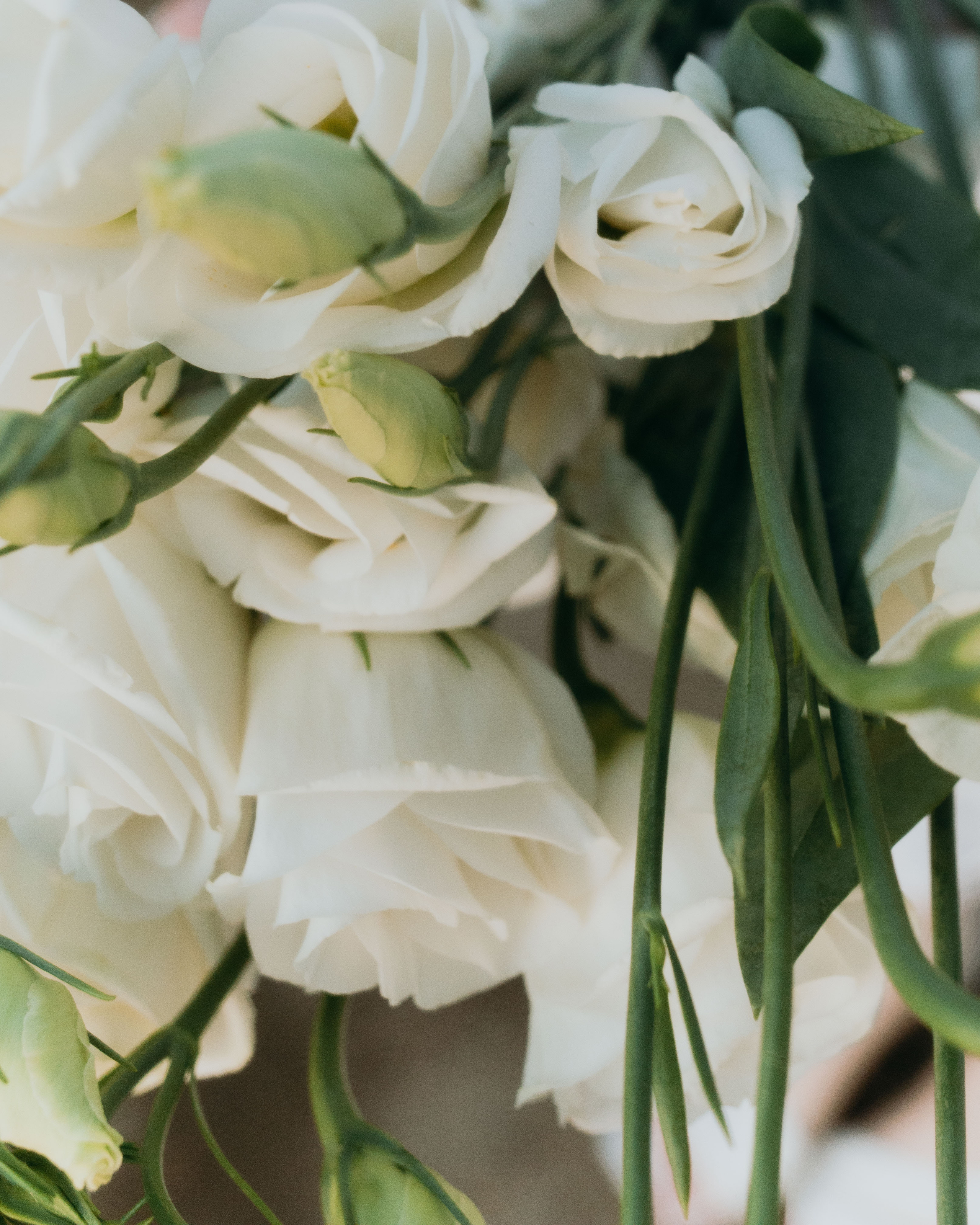 Екатерина. Катерина Аникеева | Фотограф | Екатеринбург