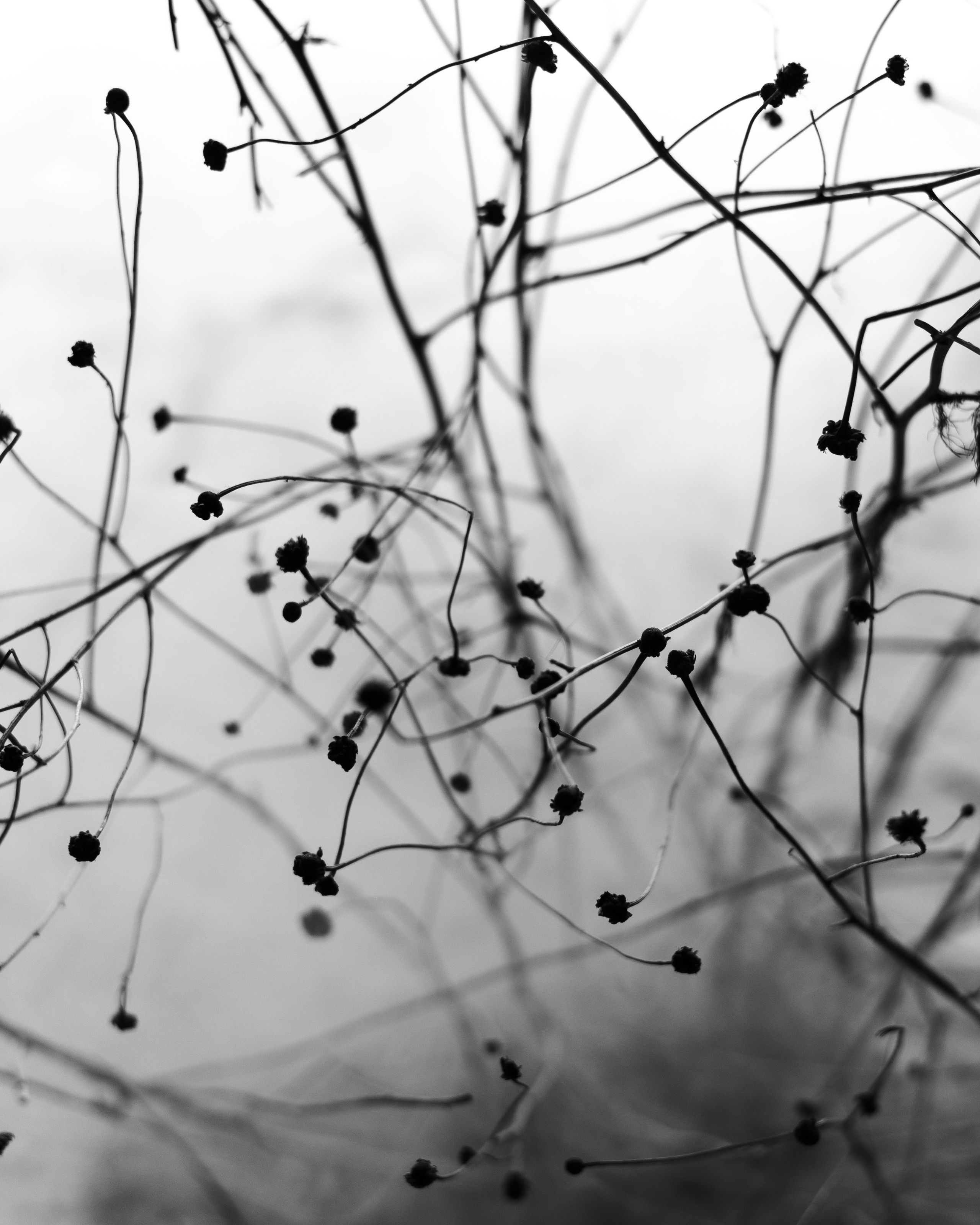 Рита. Катерина Аникеева | Фотограф | Екатеринбург