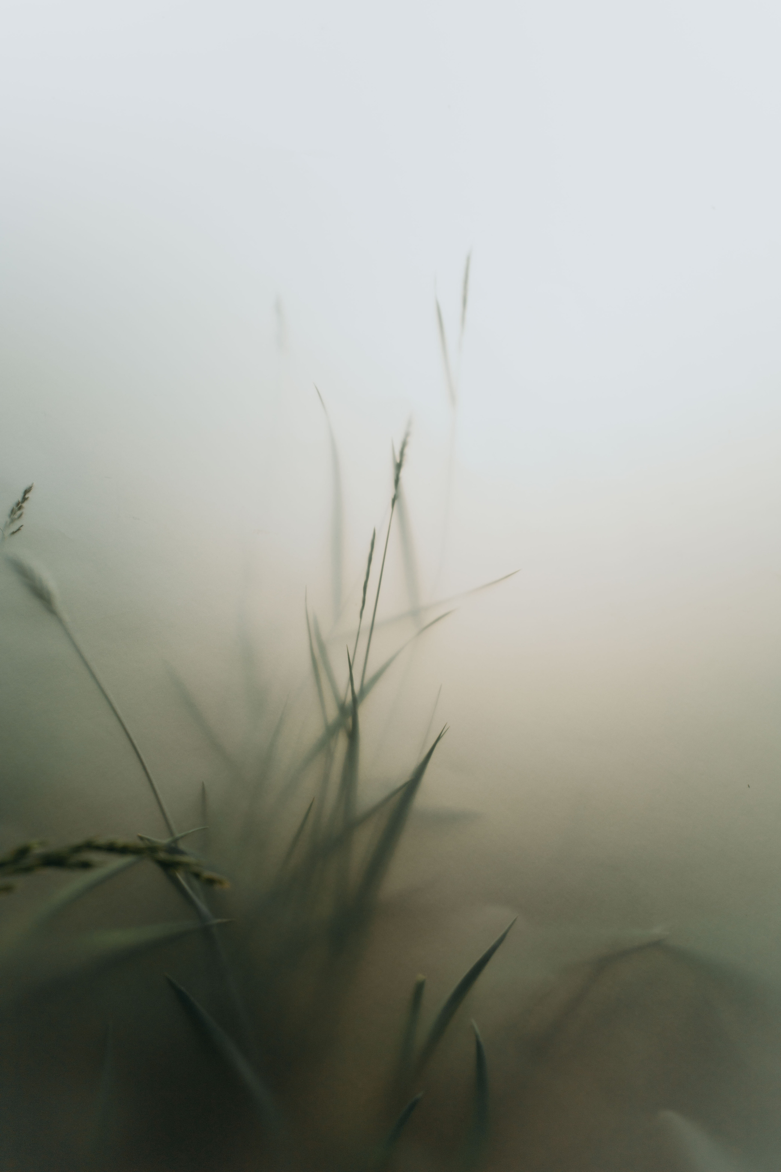 Анна. Катерина Аникеева | Фотограф | Екатеринбург