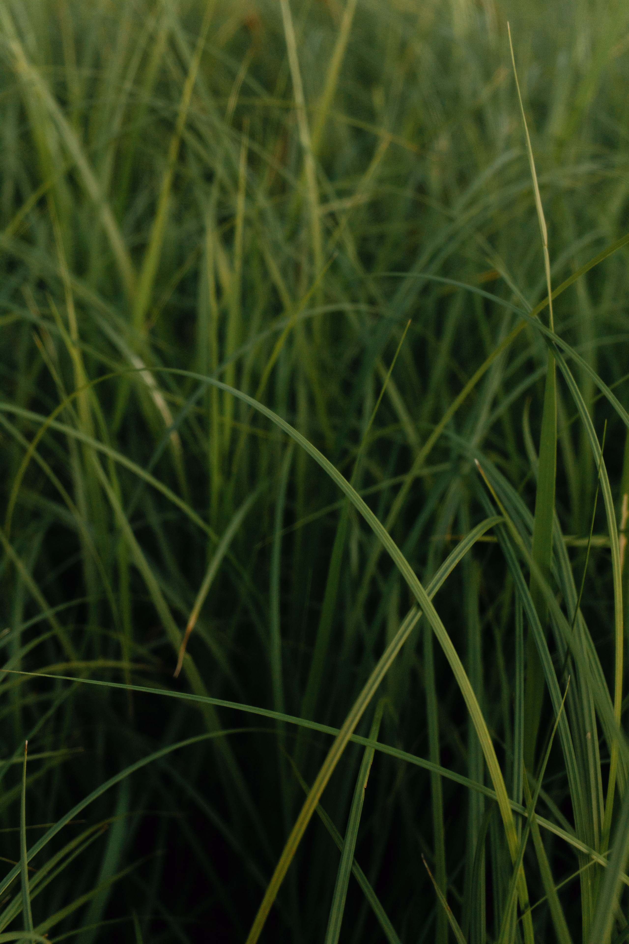 Катерина Аникеева | Фотограф | Екатеринбург