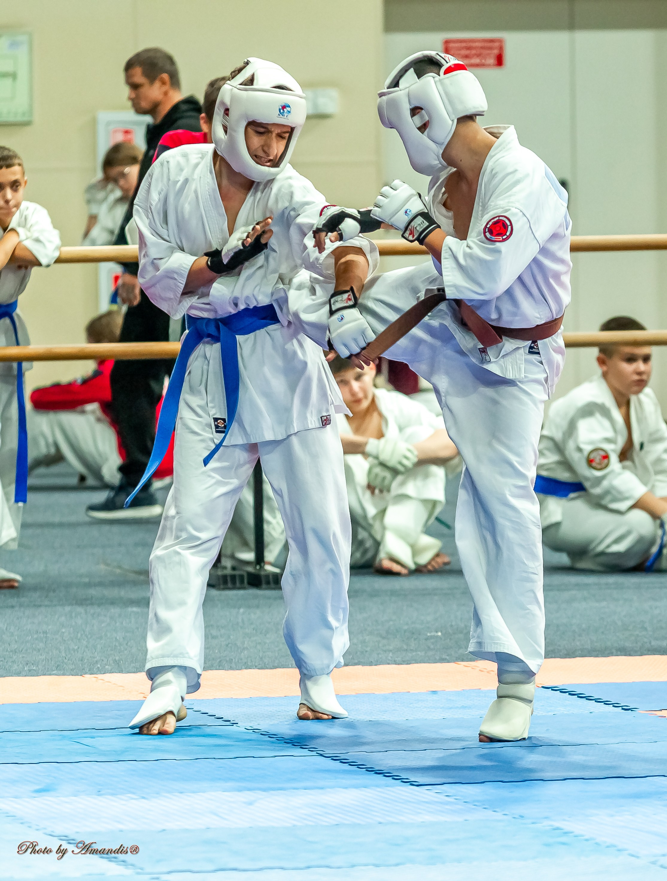 Первенство Московской области по Киокушин в СК «Жаворонки». Репортажная съемка в Москве и области. Анималистика