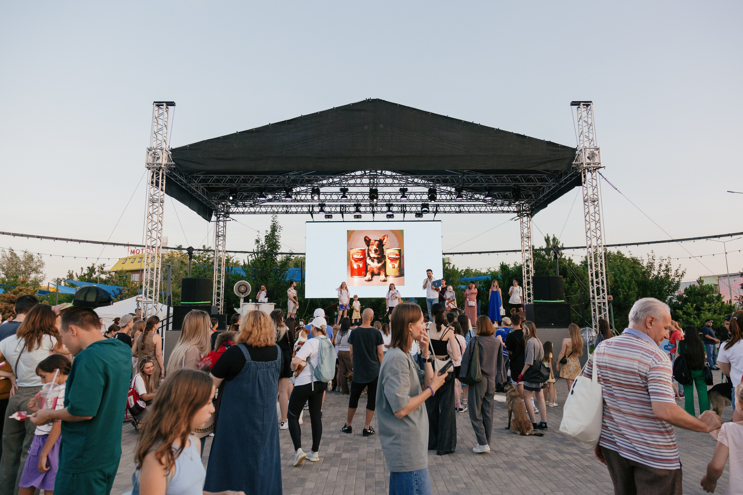 Dog Fest 2024. Главная