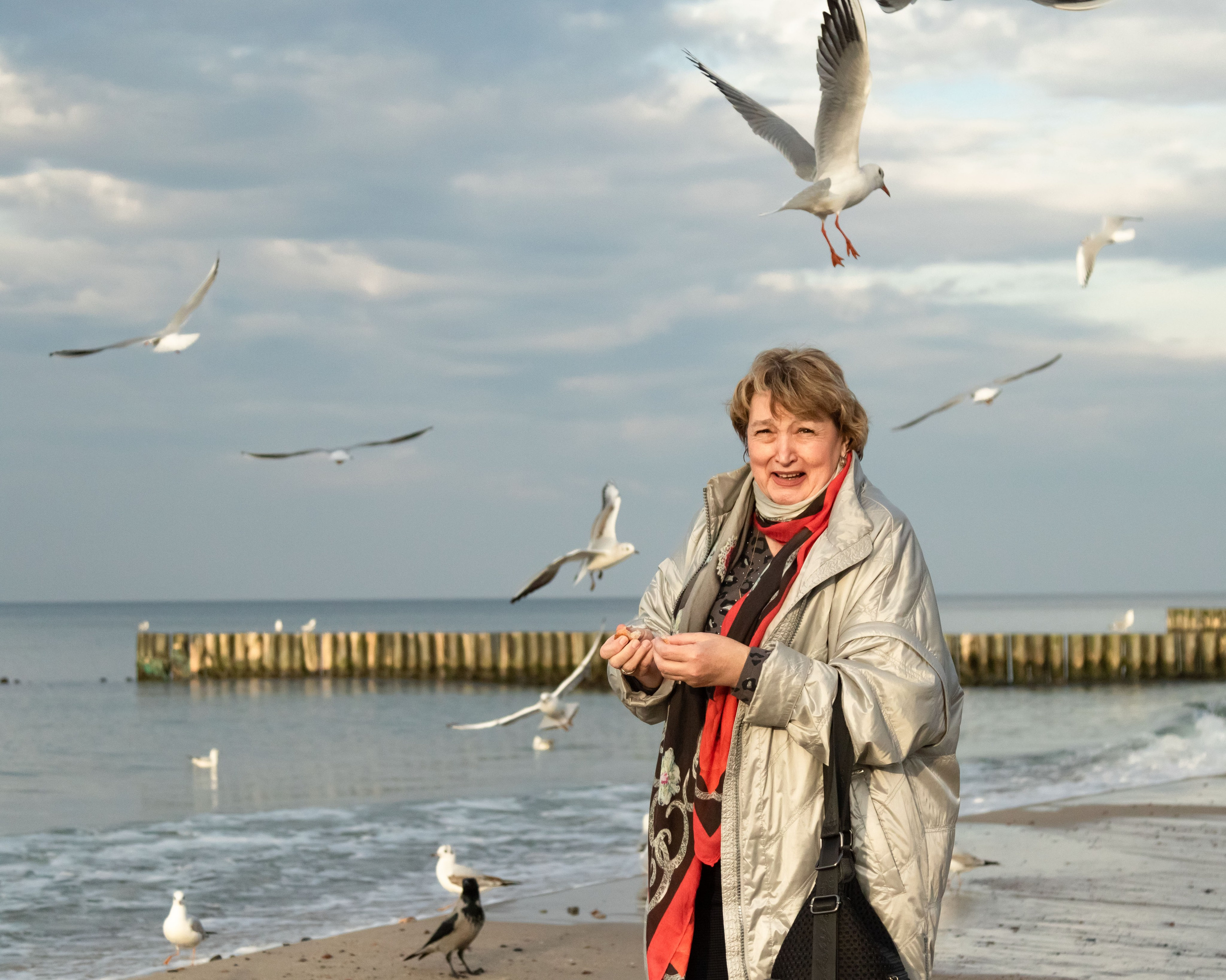 Любовь и голуби (ну и, конечно, чайки). Фотограф Зеленоградск Лиана Сопина