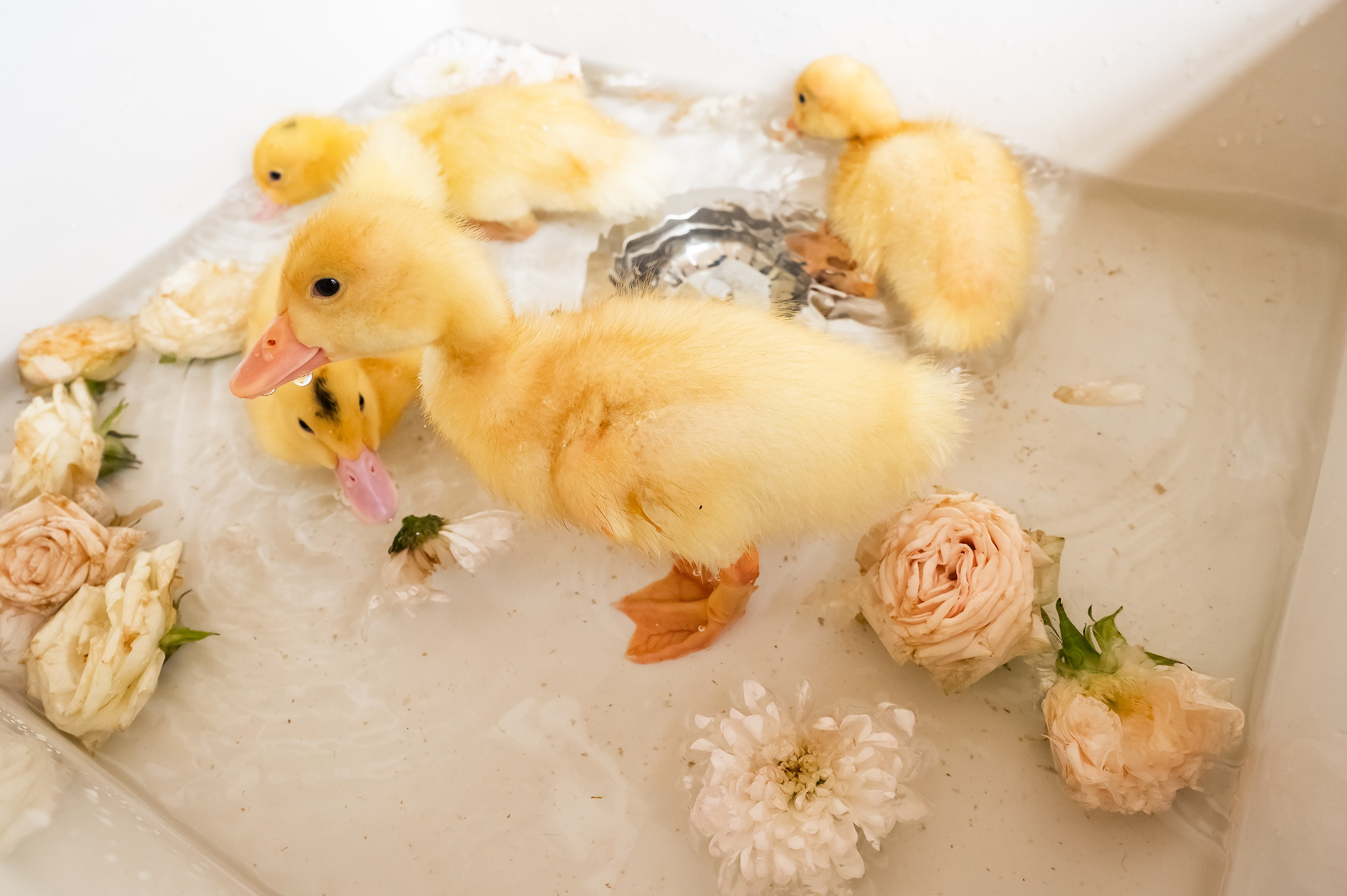 Мира 1 год. Репортажный, семейный и детский фотограф в Пензе и Заречном Арина Ермилова. Картины барельеф на заказ