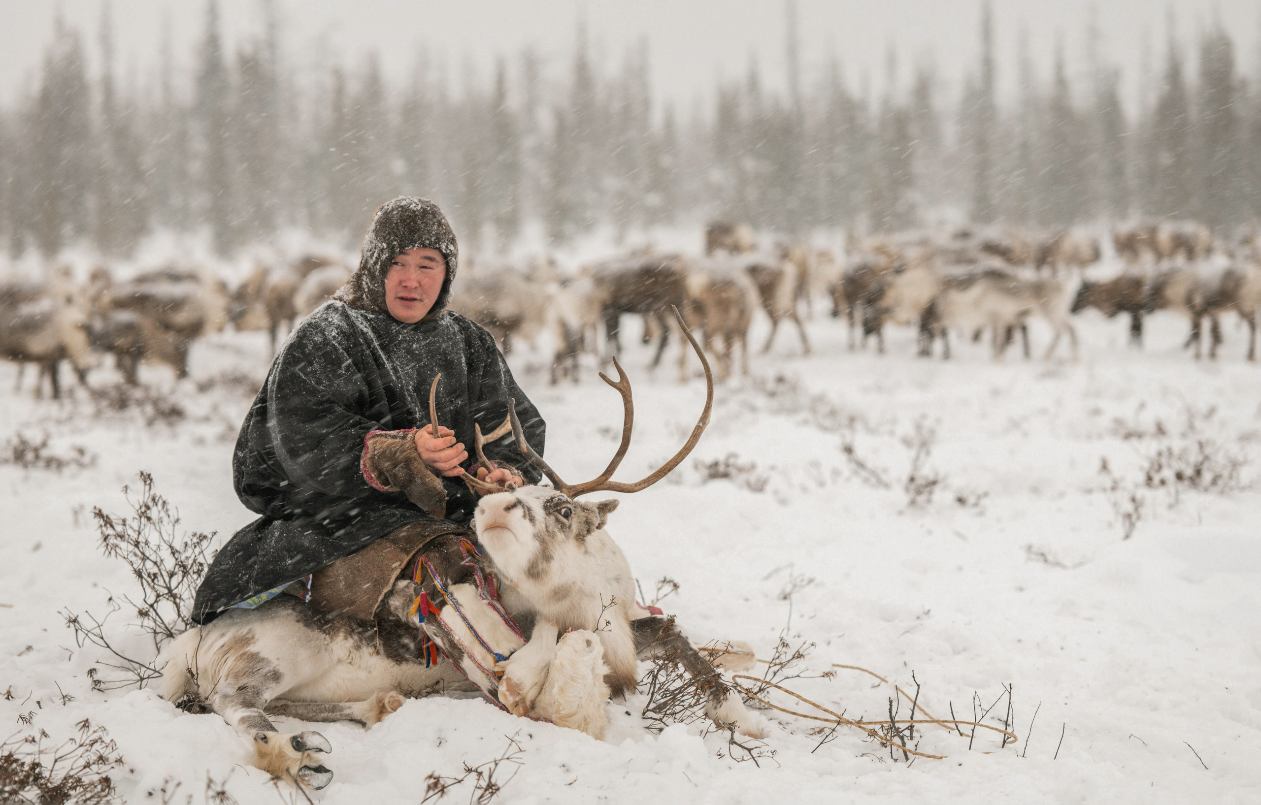 Ямал. Детский и семейный фотограф
