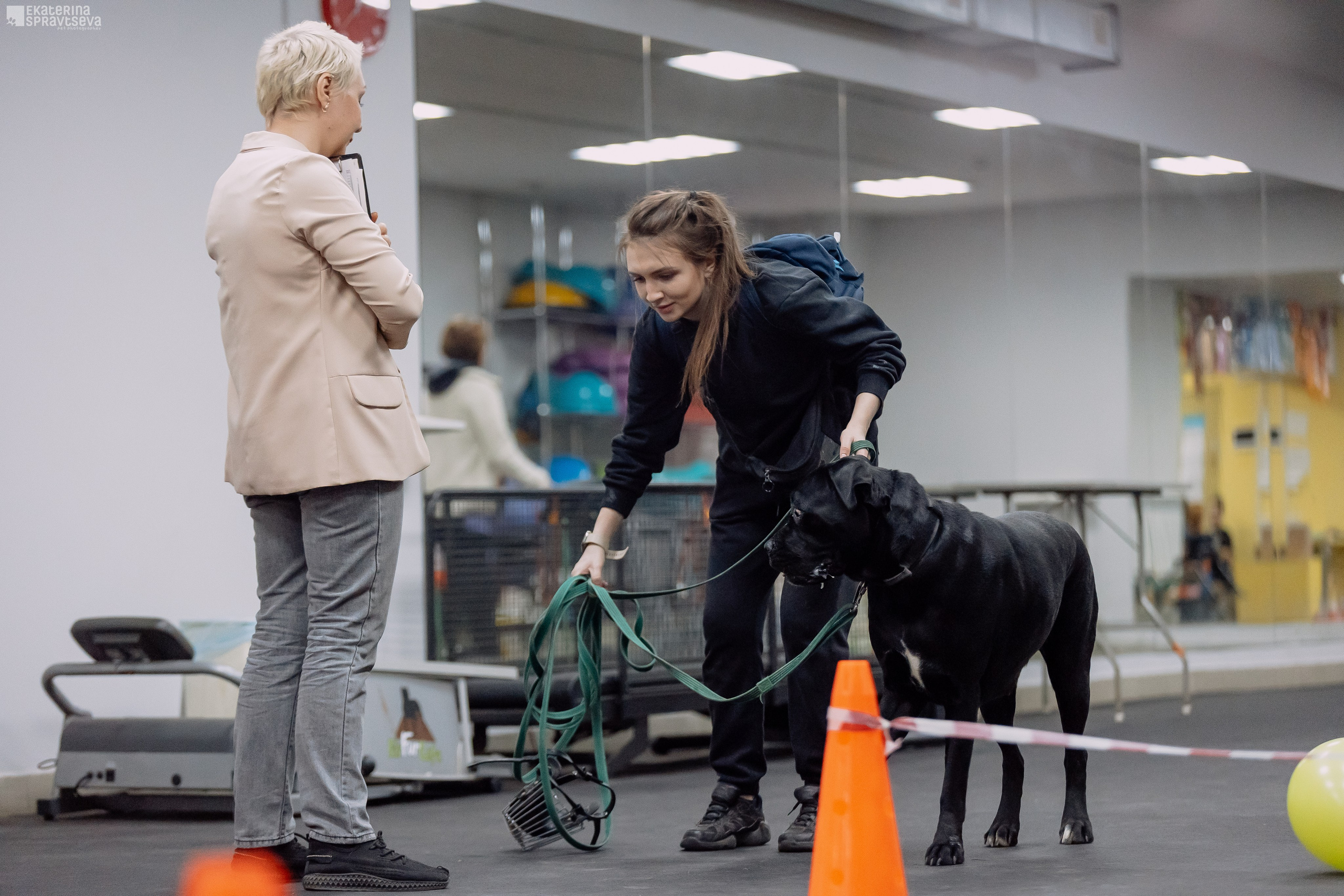 Праздник NoseWork. Фотограф Анималист Екатерина Справцева в Нижнем Новгороде
