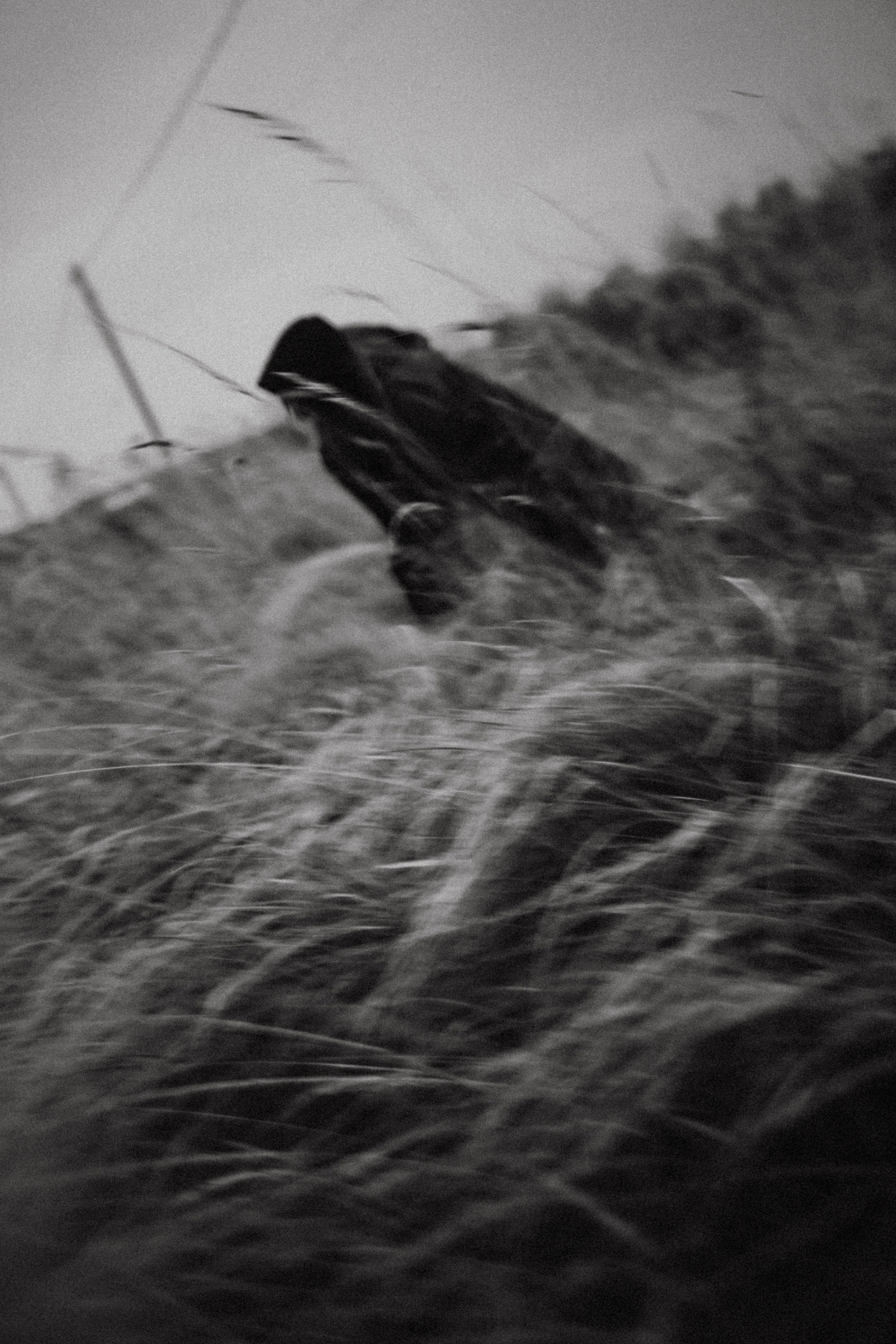 Хтонь дождливая. Фотограф в Нижнем Новгороде