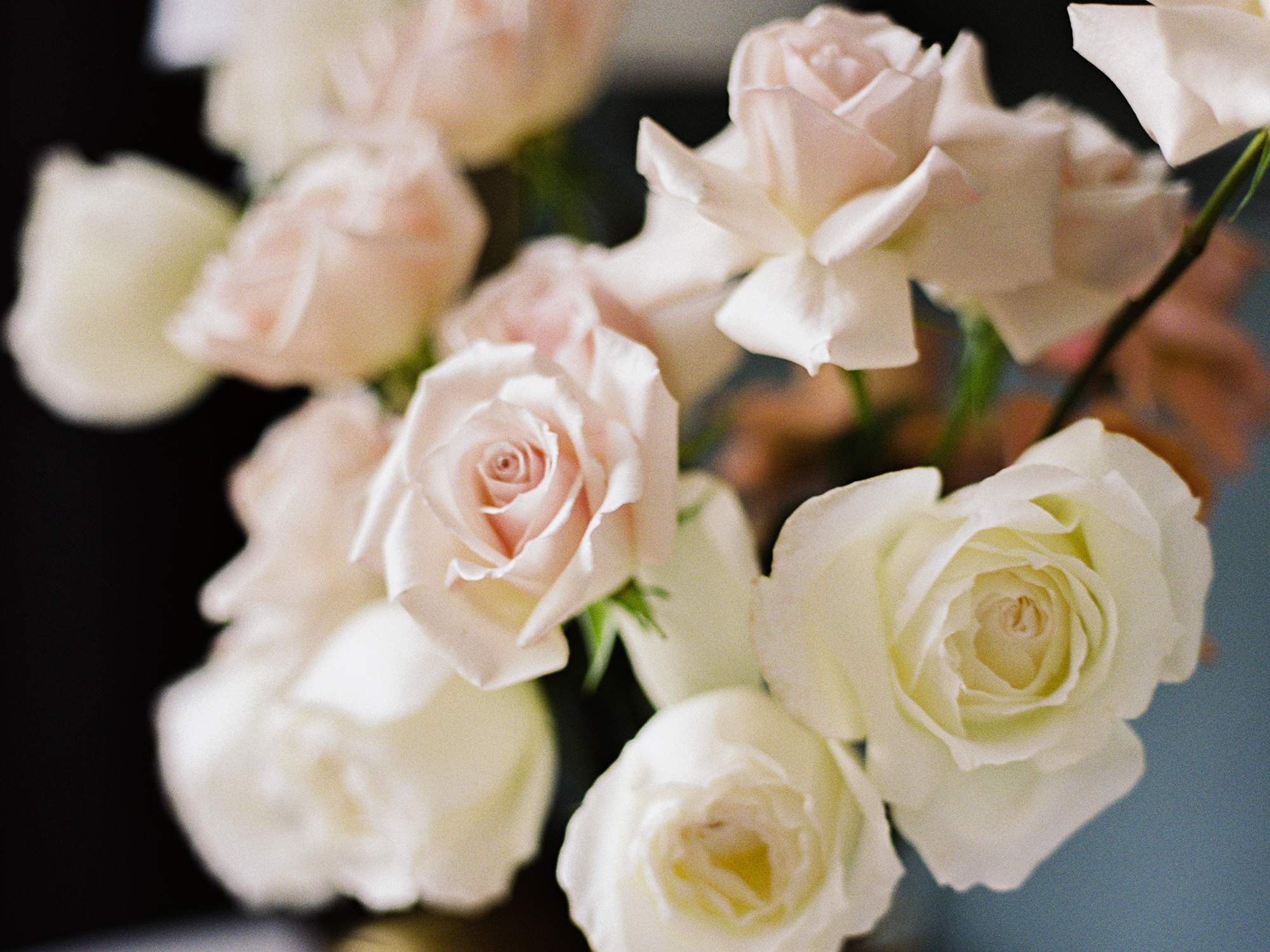 Nikita&Olesya. Свадебный Fine Art фотограф в Санкт-Петербурге