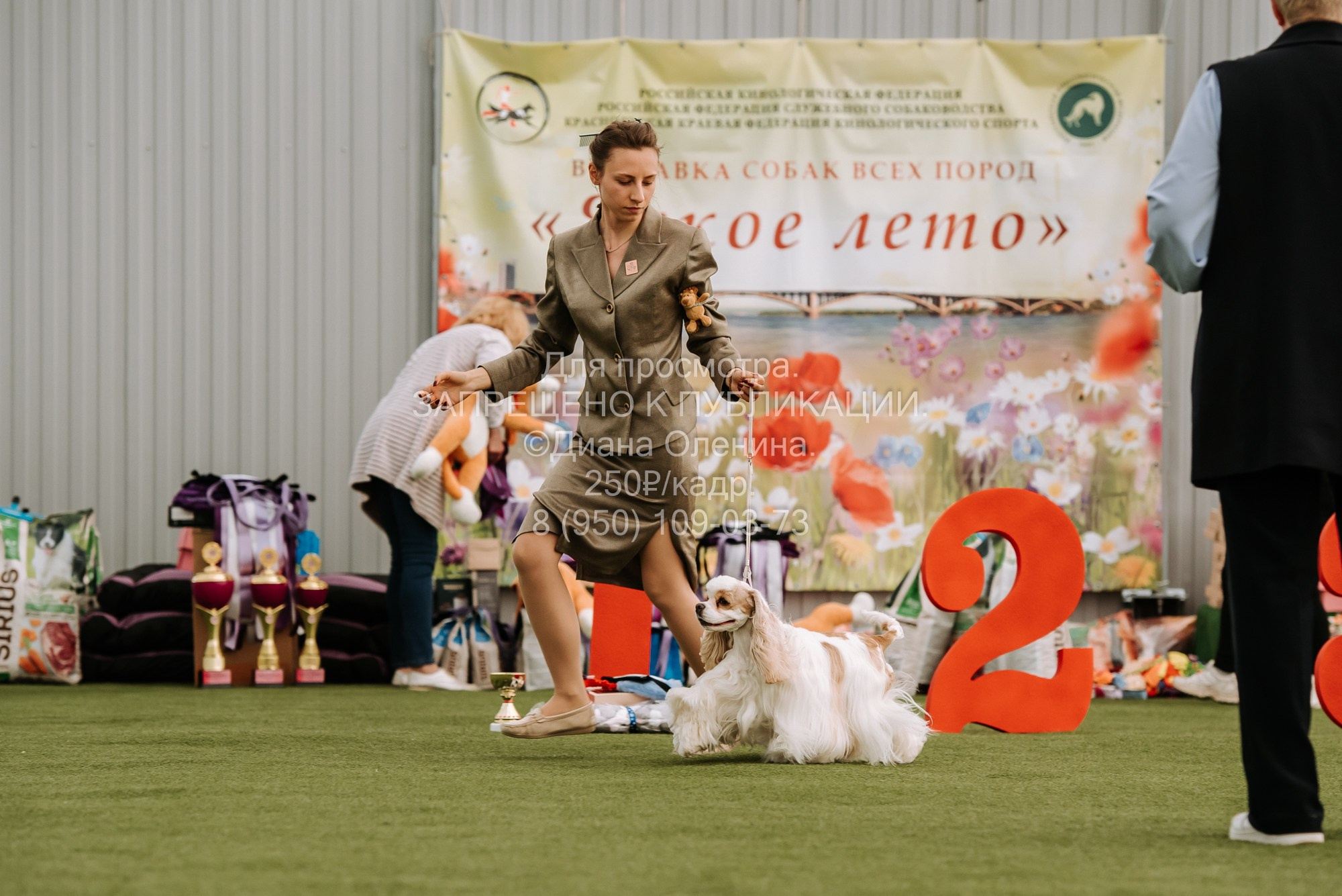 Выставка собак Красноярск 2.06. Фотограф Диана Оленина Красноярск / Братск
