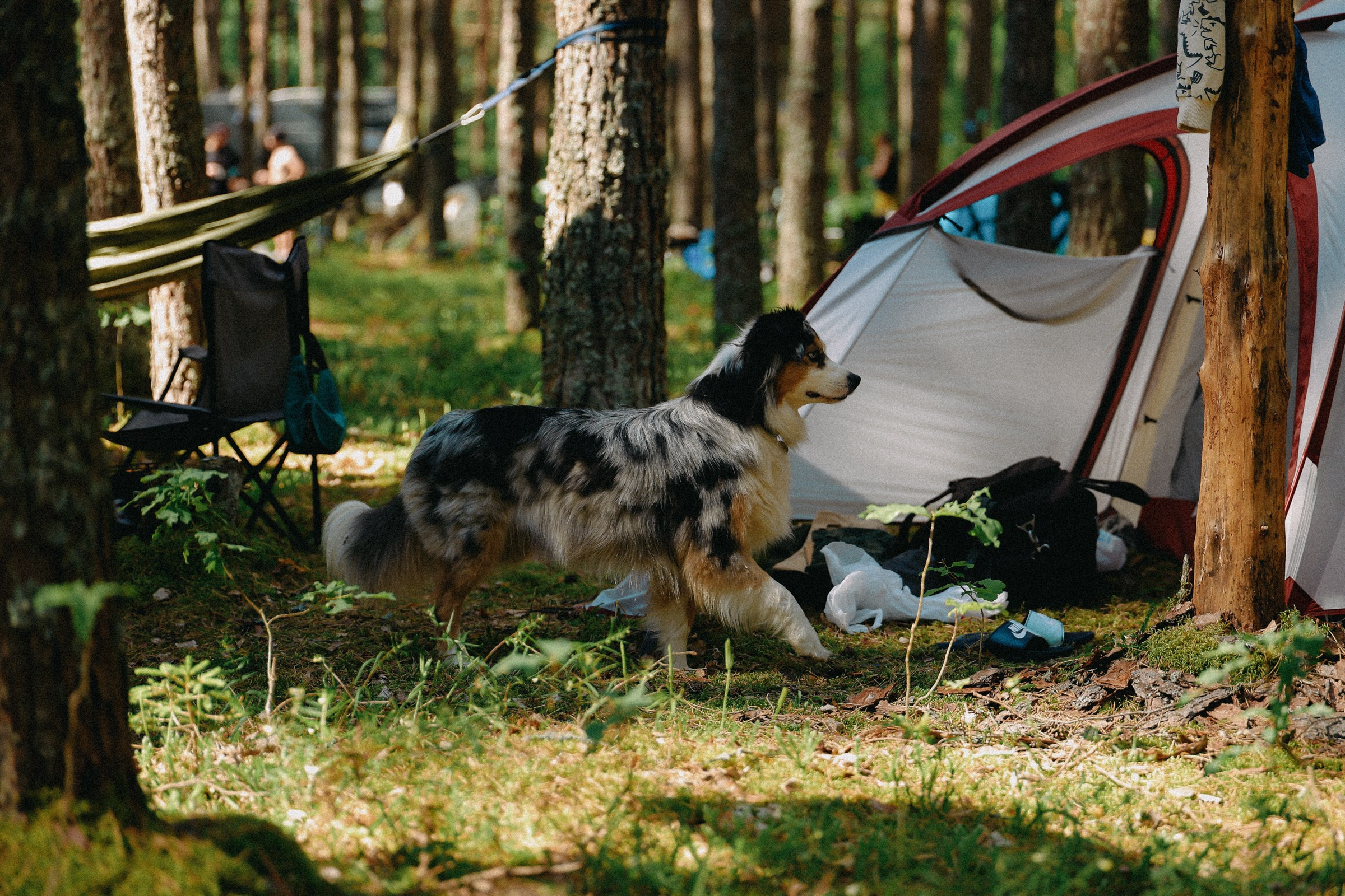 /РЕПОРТАЖ/ Велогонка ЦАРЬ-ГРЕЙДЕР 2. 2024. Свадебный фотограф Великий Новгород Станислав Кособудский