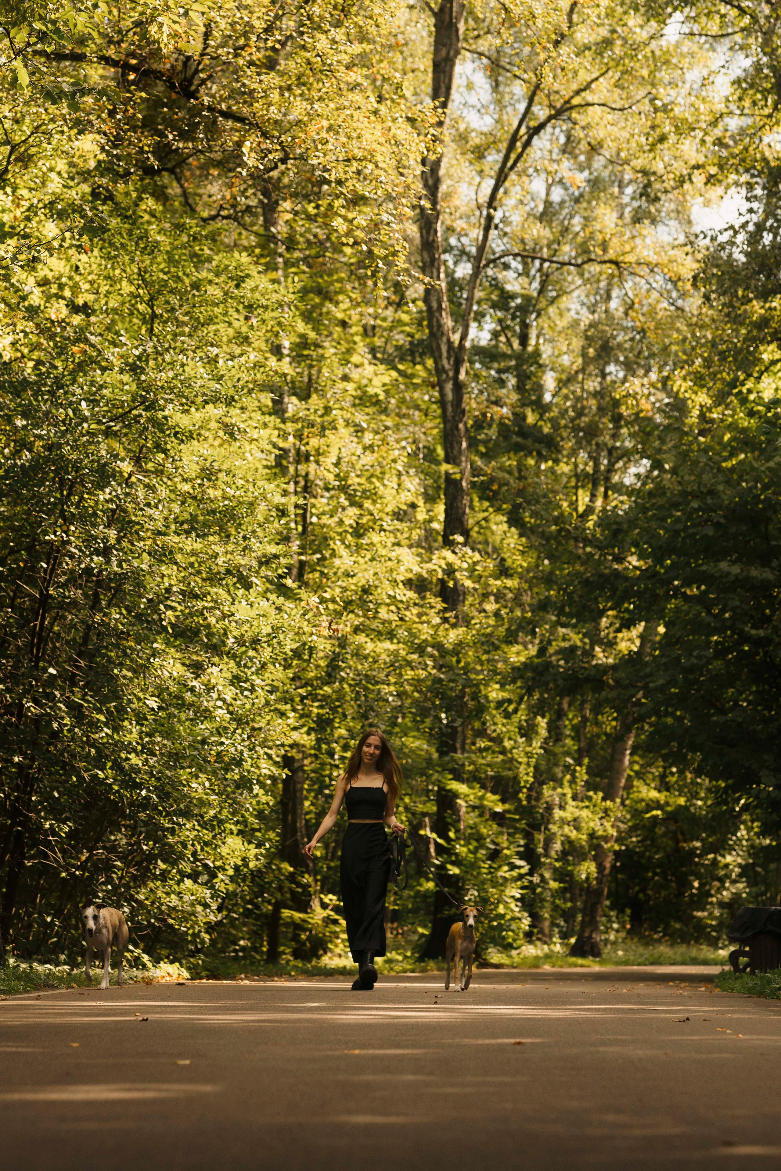 Нева и Персей. Фотограф- анималист Александра Матвеева