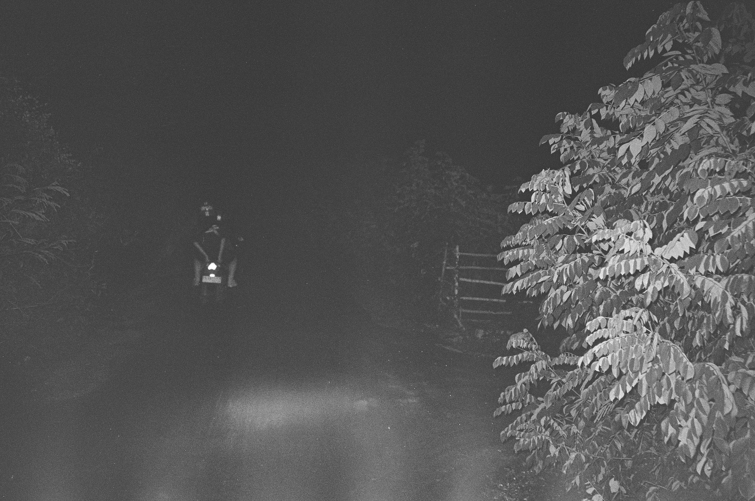 Who u are?. Carolinetru