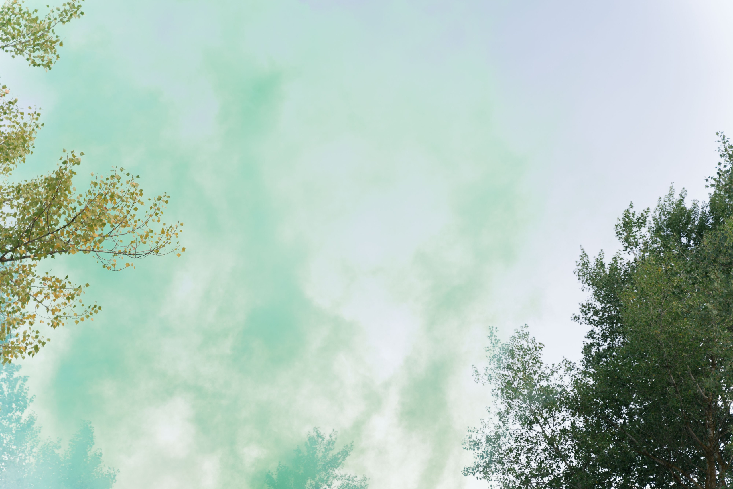 свадебная фотосессия с цветным фонтаном на берегу реки