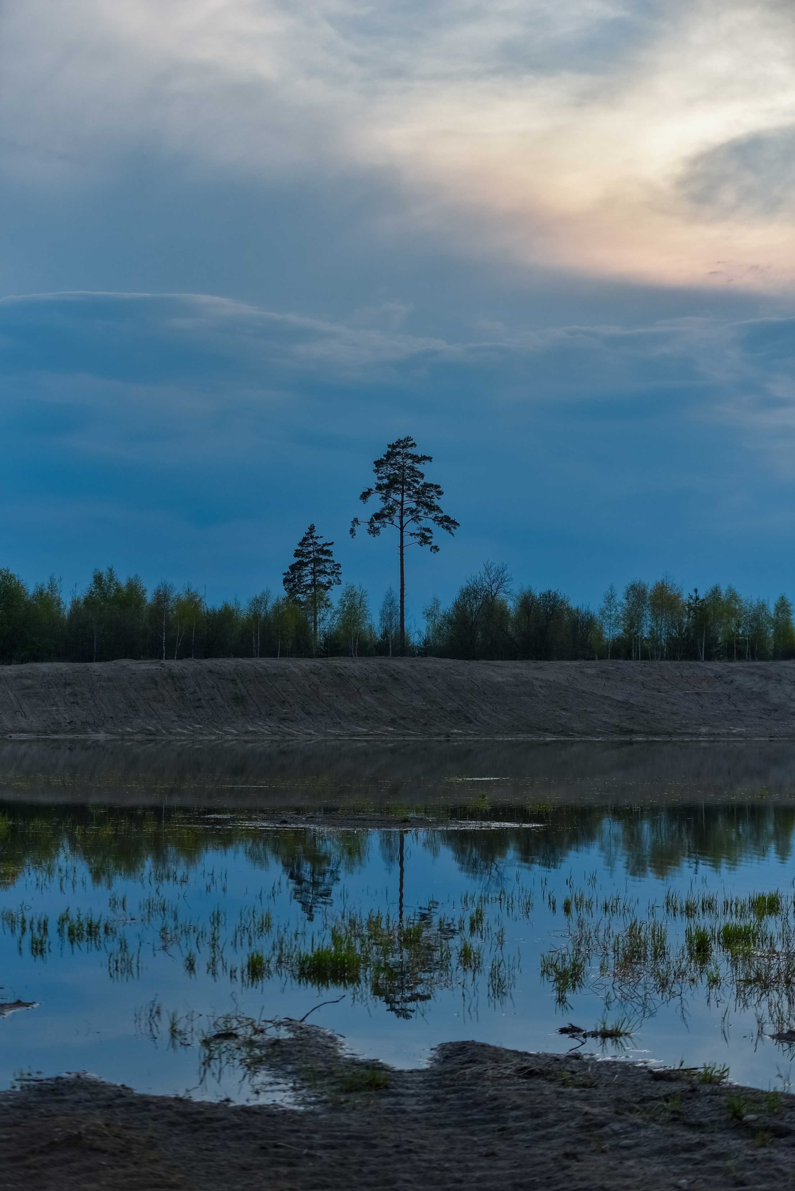 Природа. Съемки в стиле Goblicore и прочая нечисть. Конный фотограф из Москвы Ирина Бондаркова