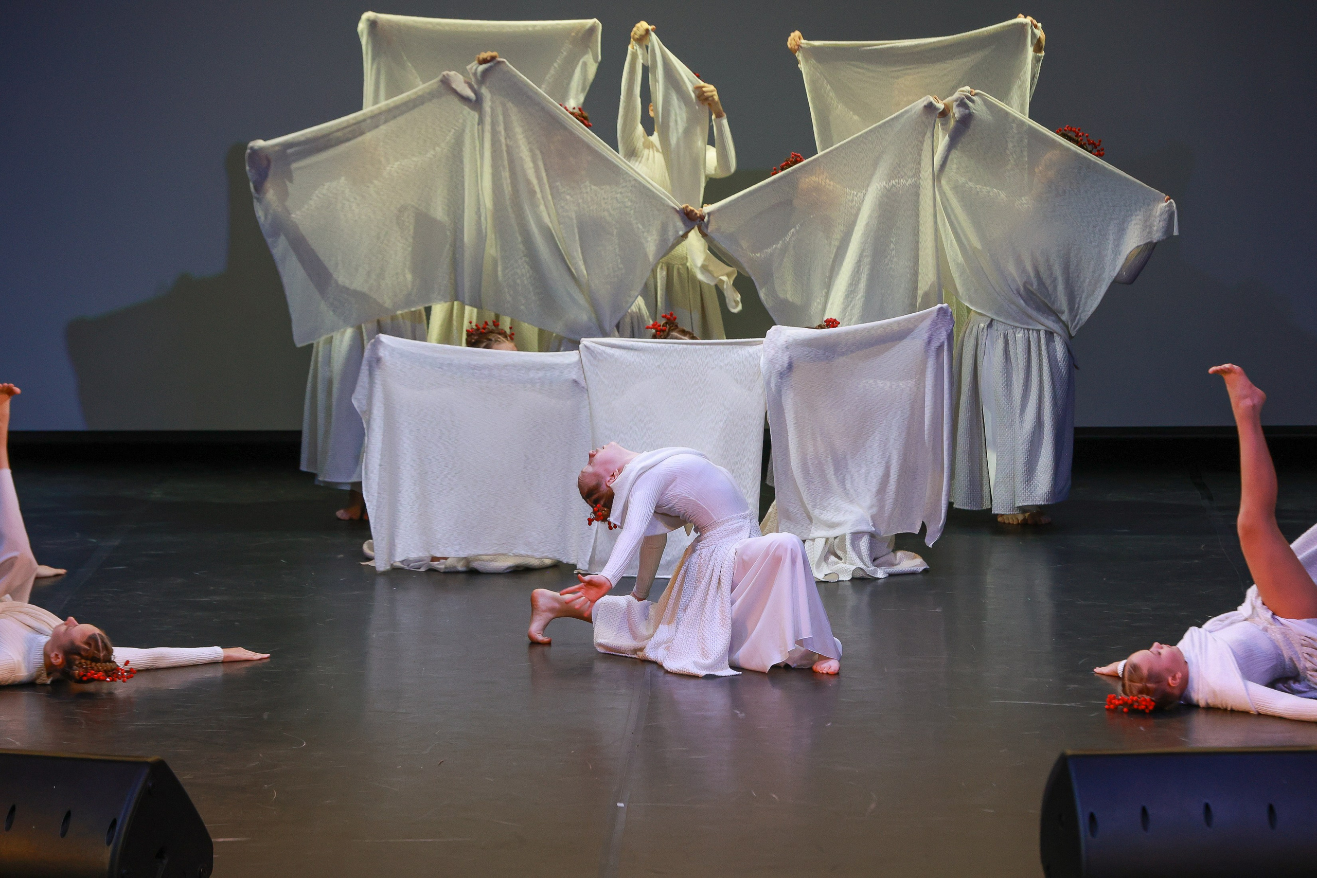 Небесные ласточки на Танц ЭКСПО 2026. Фотограф Юлия Мальцева